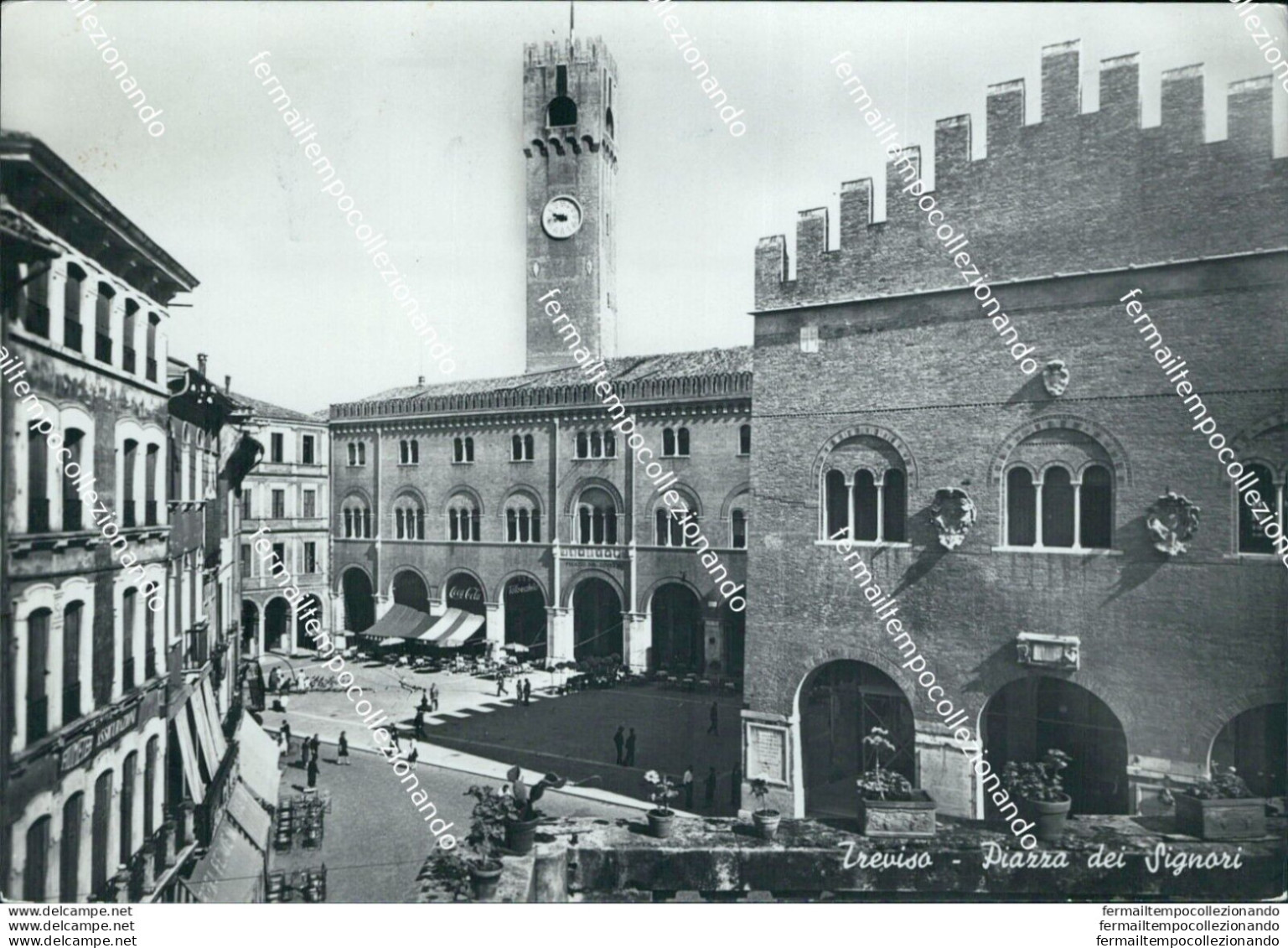 Bm110 Cartolina Treviso Citta' Piazza Dei Signori - Treviso