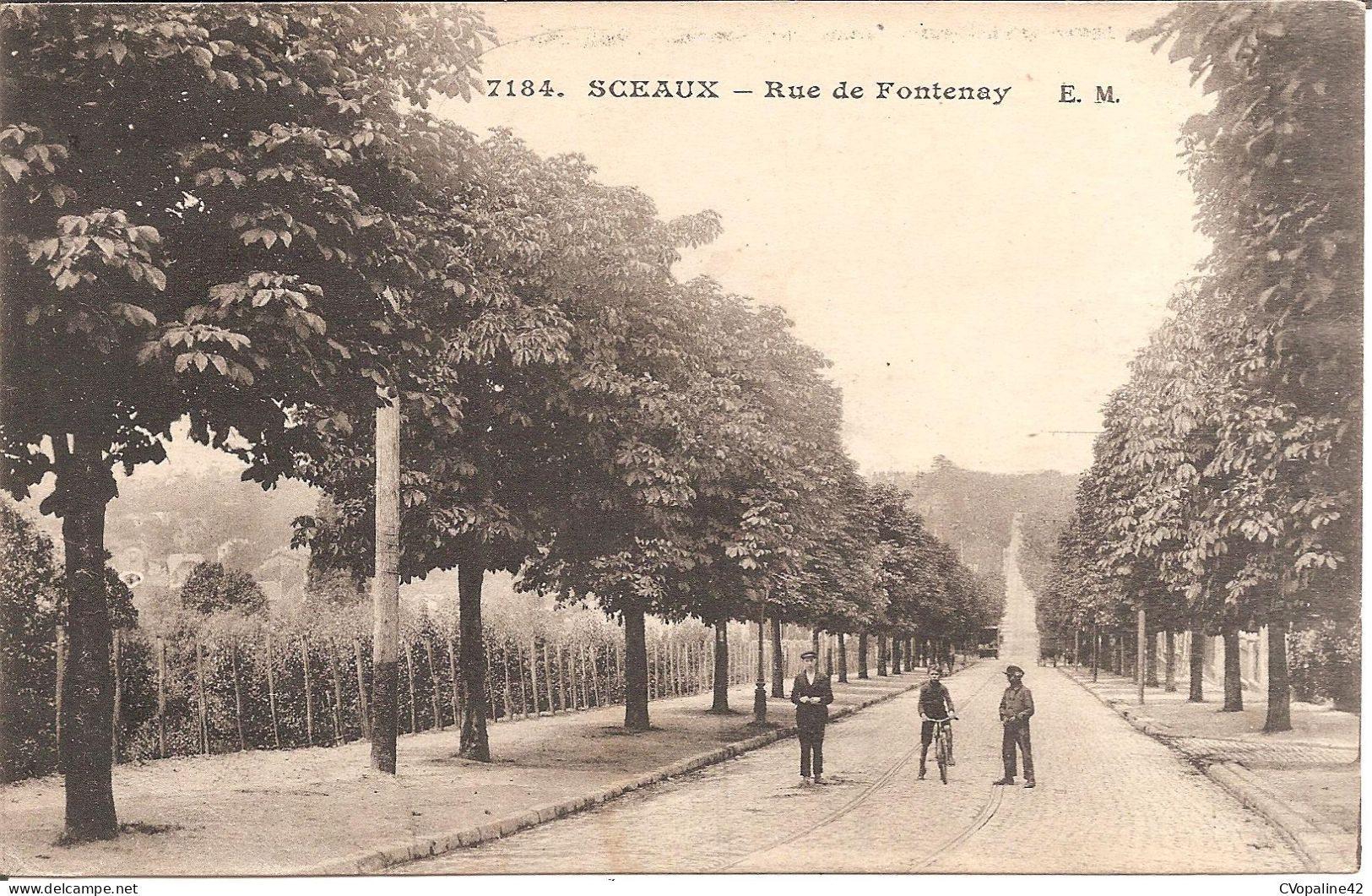 SCEAUX (89) Rue De Fontenay - Autres & Non Classés