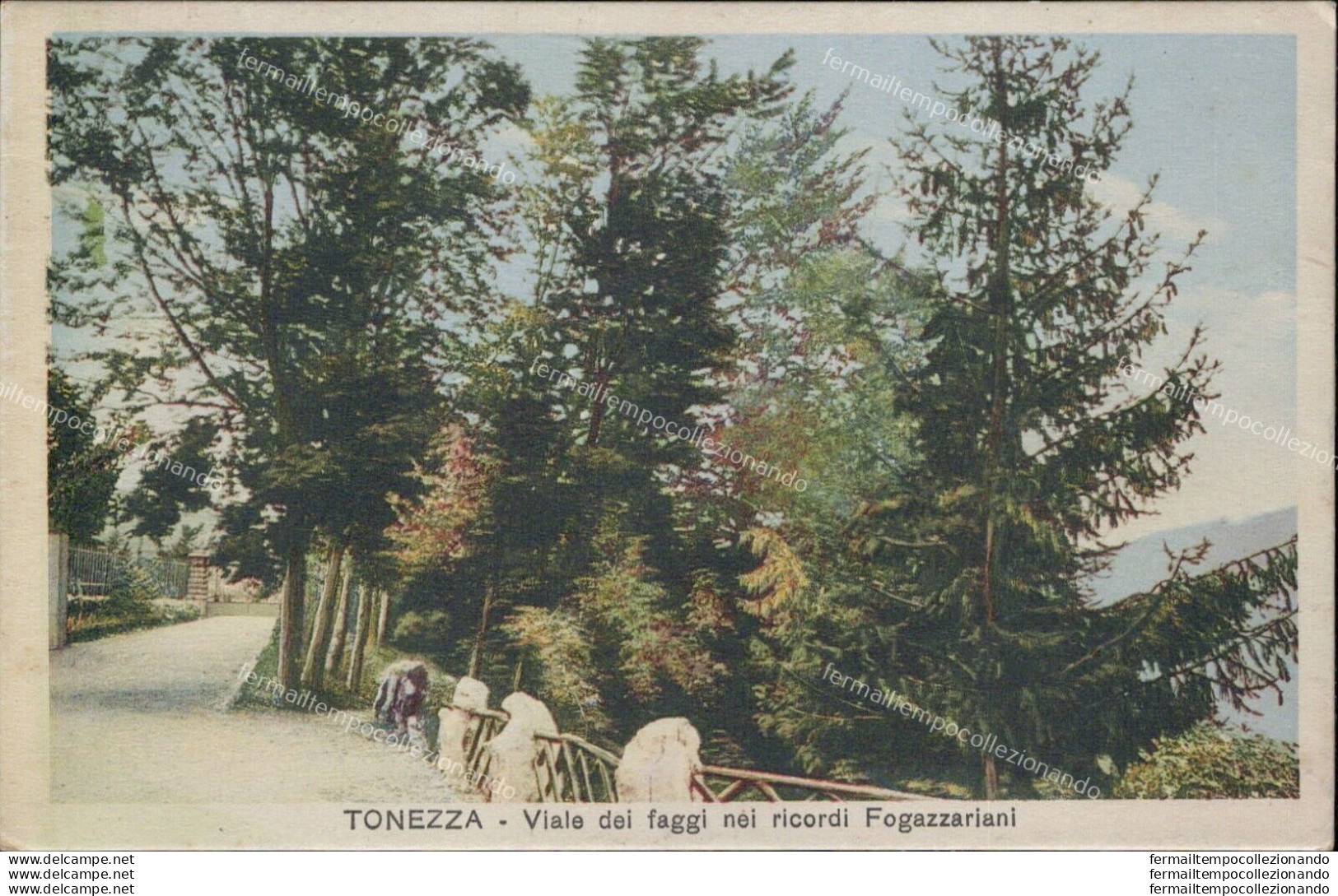 Ar194 Cartolina Tonezza Viale Dei Faggi Nei Ricodi Fogezzariani 1937 Vicenza - Vicenza