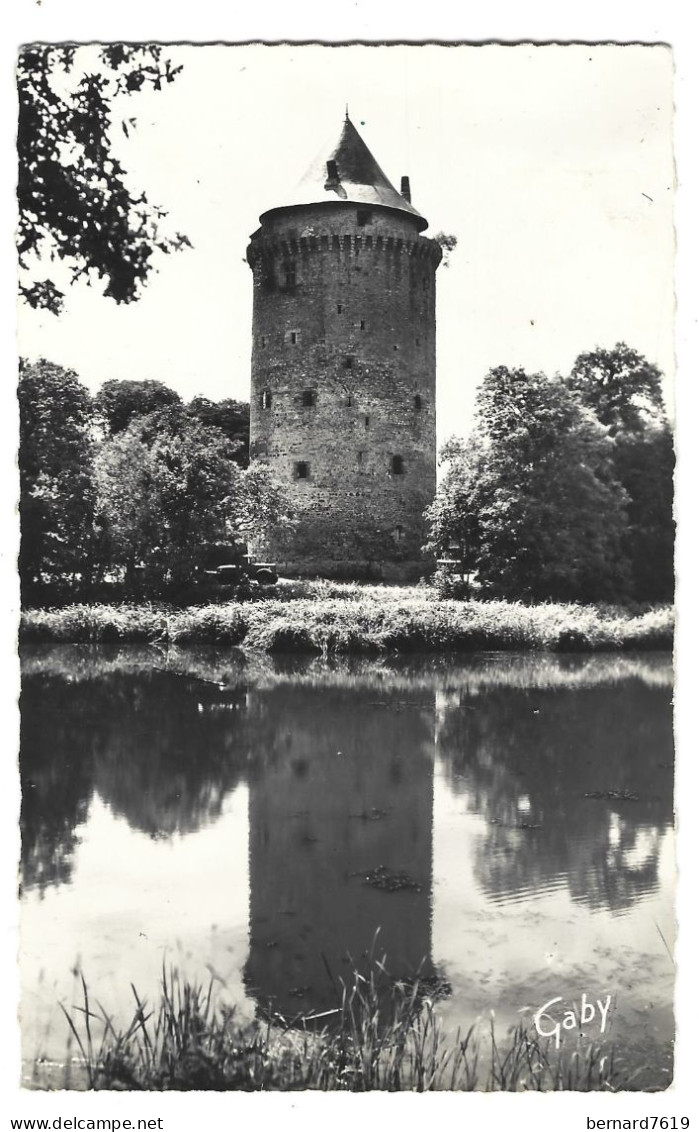 35 Le Grand Fougeray - Tour Duguesclin Et L'etang Du Chateau - Autres & Non Classés