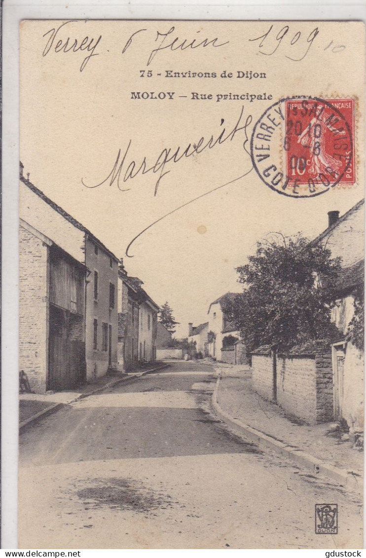 Côte-d'Or - Environs De Dijon - Moloy - Rue Principale - Autres & Non Classés