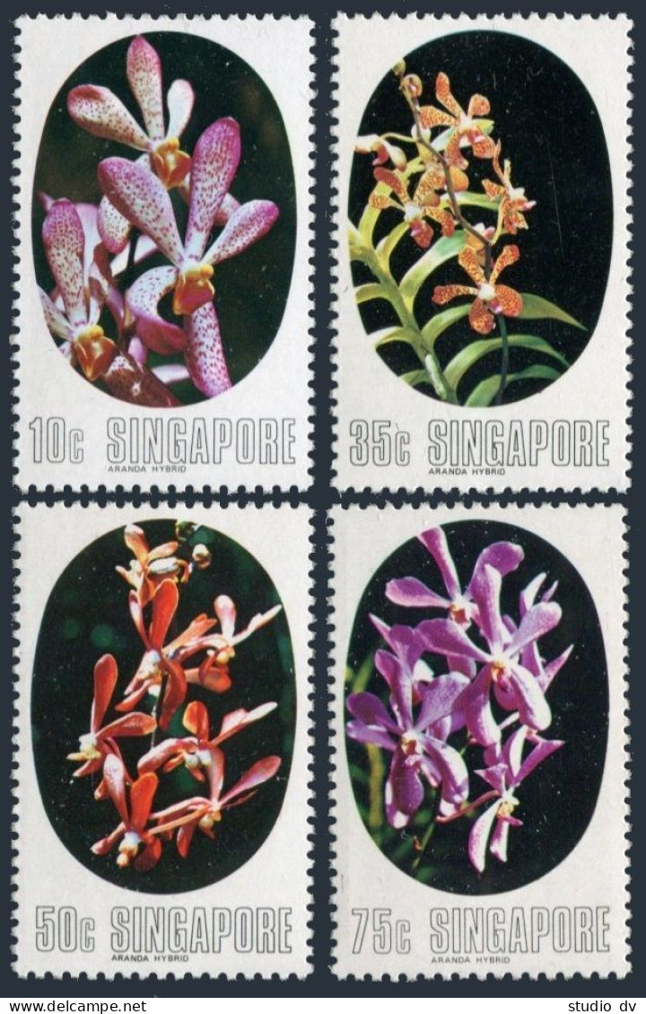 Singapore 247-250, MNH. Michel 250-253. Aranda Orchids, 1976. - Singapore (1959-...)