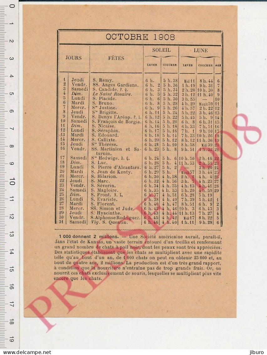 Doc 1908 Elevage De Chats à Poil Noir Au Kansas USA Peaux De Chat Peausserie Peau Animal - Ohne Zuordnung