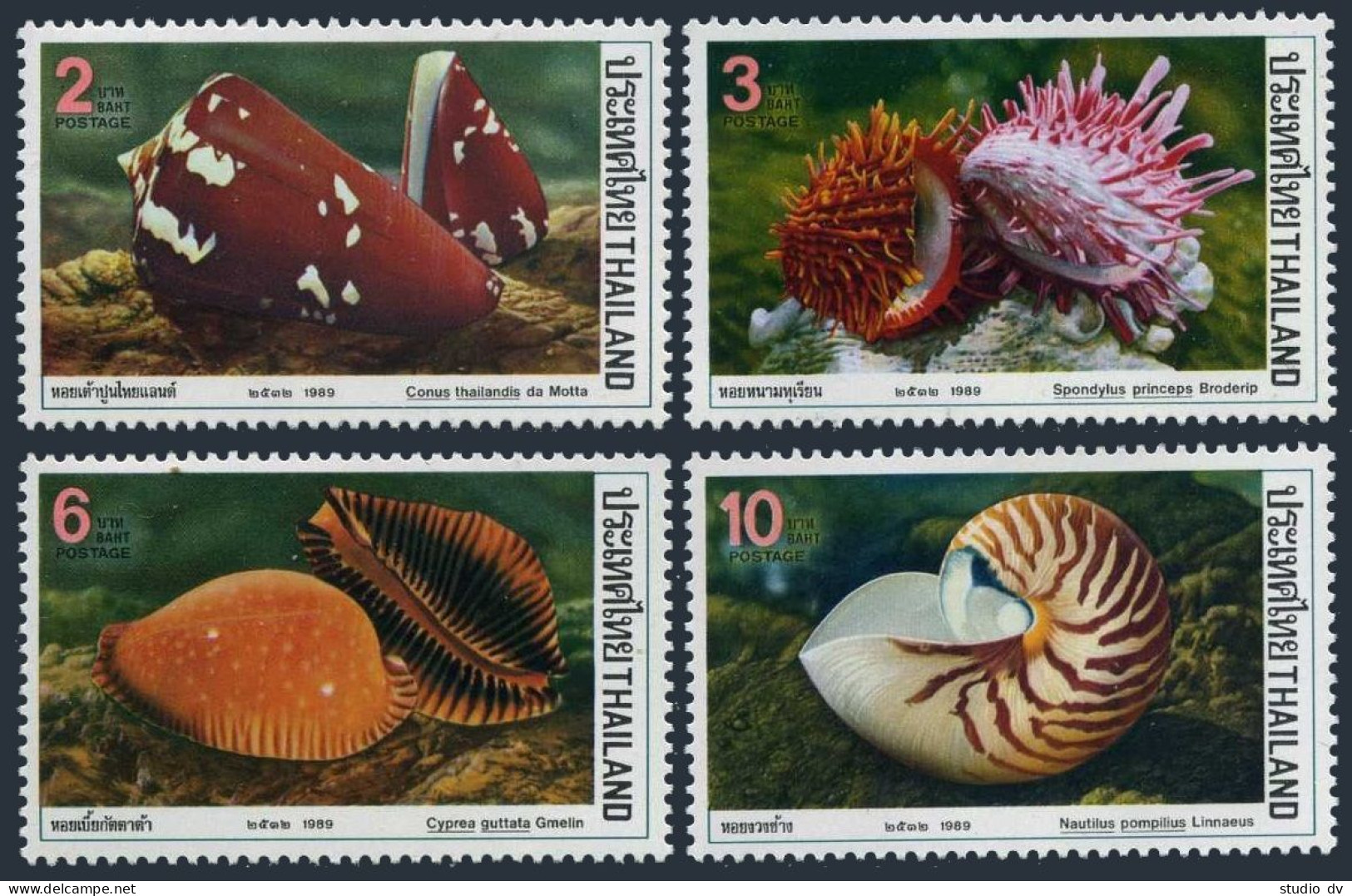 Thailand 1305-1308, MNH. Mi 1311-1314. Sea Shells 1989. Conus, Spondylus,Cyprea, - Thaïlande