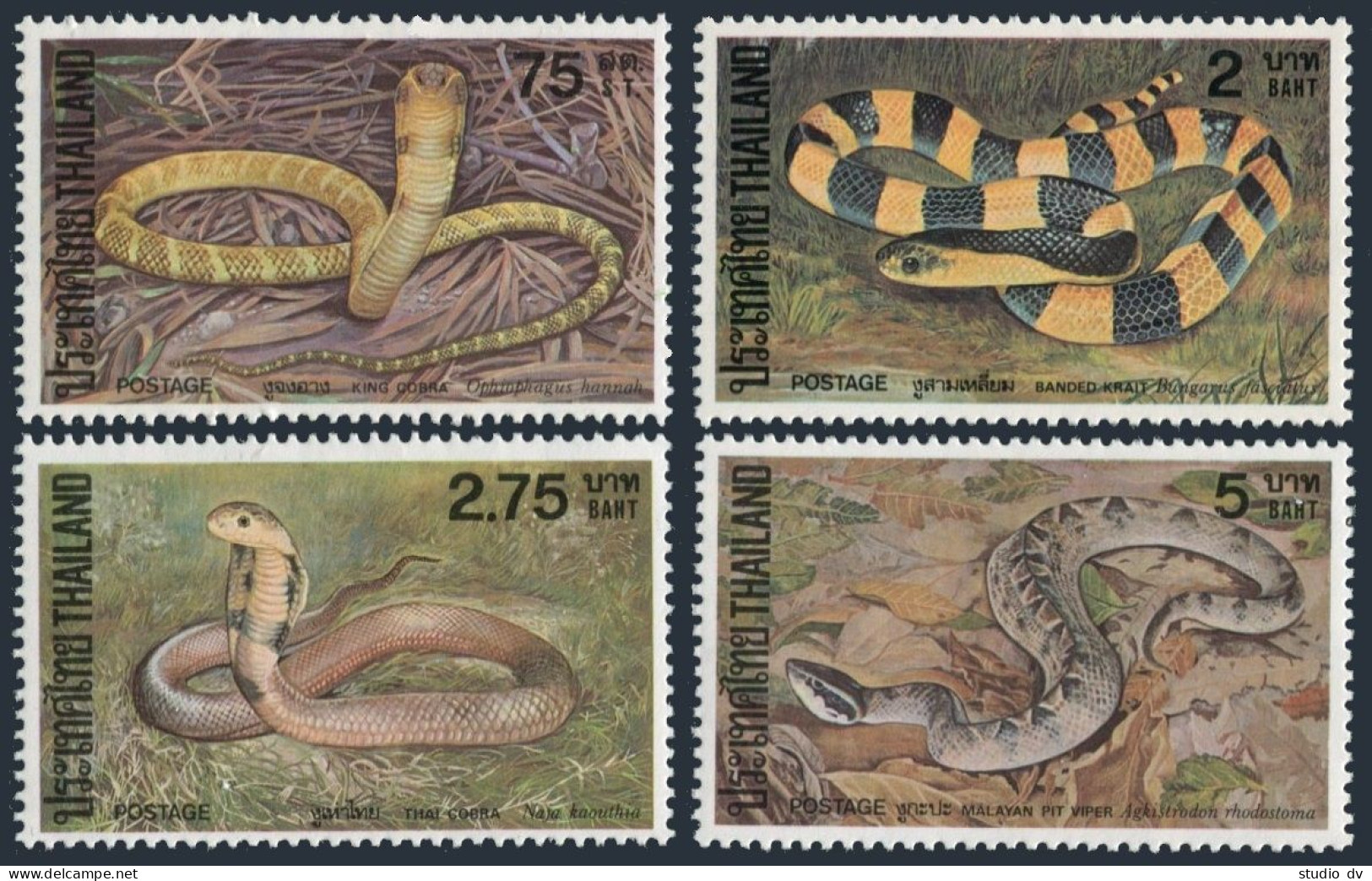 Thailand 977-980,MNH.Michel 989-992. King Cobra,Krait,Thai Cobra,Viper.1981. - Thaïlande