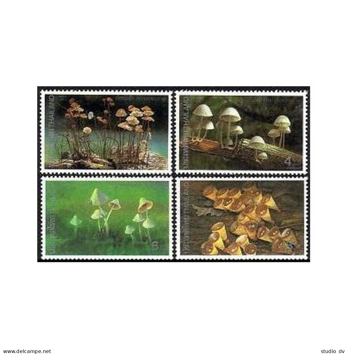 Thailand 1531-1534, 1534a Sheet, MNH. Michel 1558-1561, Bl.50. Mushrooms 1993. - Thailand