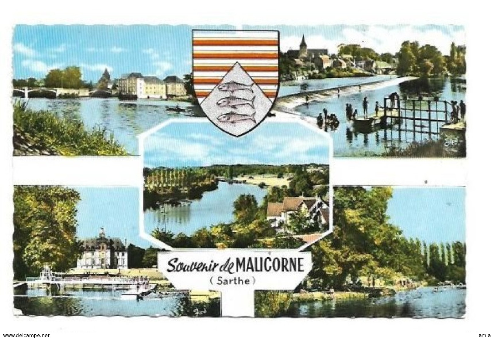 CP DEPT 72 SOUVENIR  DE MALICORNE - Malícorne Sur Sarthe