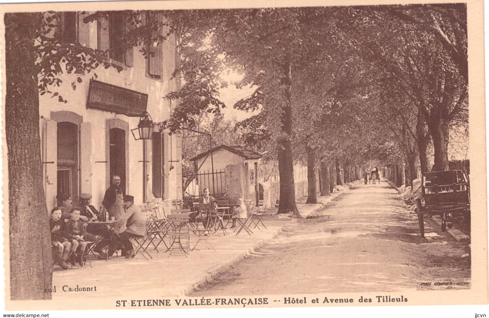 "/"48 - Lozère - Saint Etienne Vallée Française - Hôtel Et Avenue Des Tilleuls - Sonstige & Ohne Zuordnung