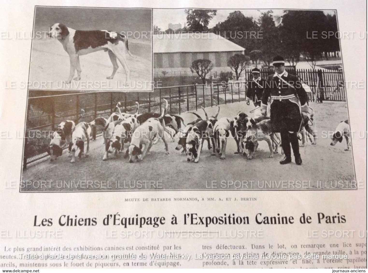 1905 COUPE MOTOCYCLETTES - VOITURE C.G.V - GRANDE SEMAINE D'ÉPÉE - CHIENS D'ÉQUIPAGE EXPOSITION CANINE DE PARIS - Riviste - Ante 1900