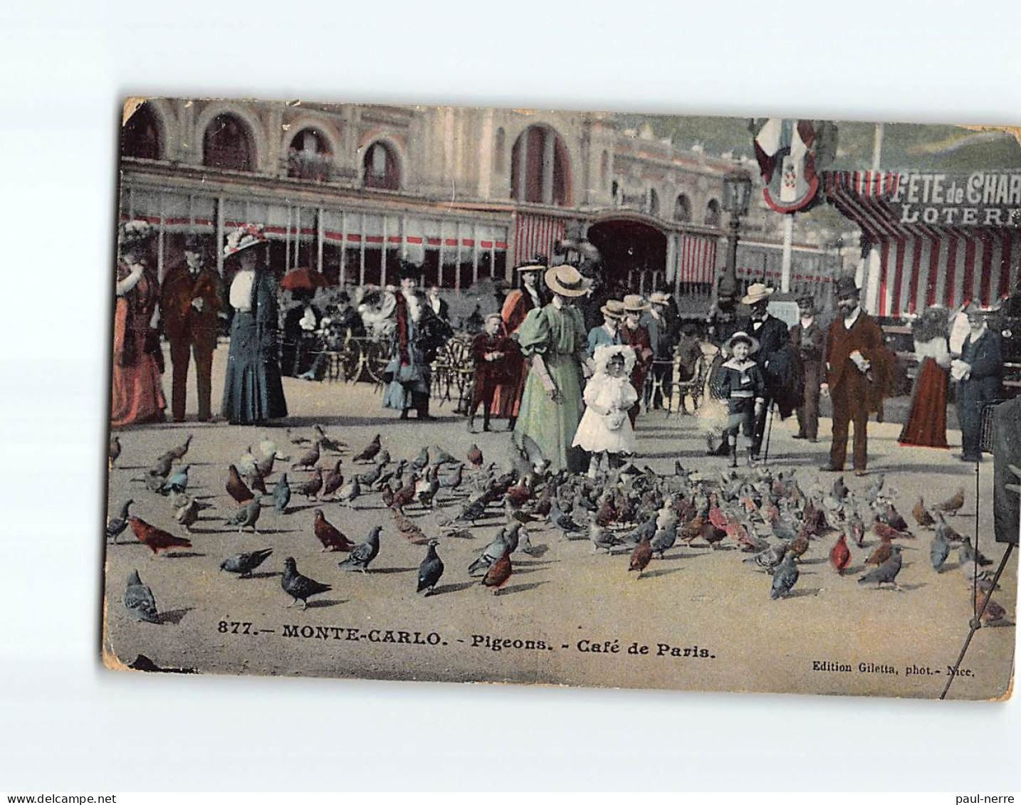 MONTE CARLO : Pigeons, Café De Paris - état - Monte-Carlo