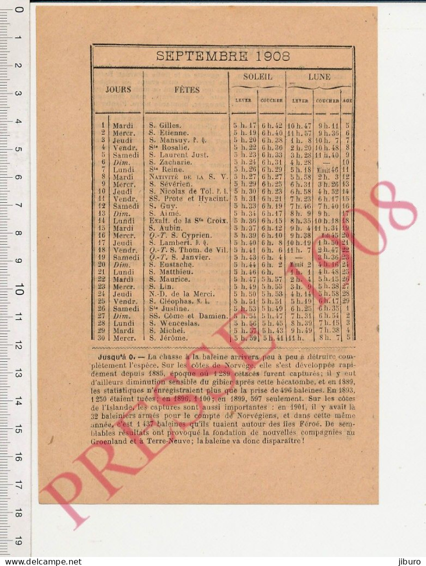 Doc 1908 Chasse à La Baleine Disparition Baleines Statistiques Pêche Norvège Islande Iles Féroë Groenland Terre-Neuve - Zonder Classificatie