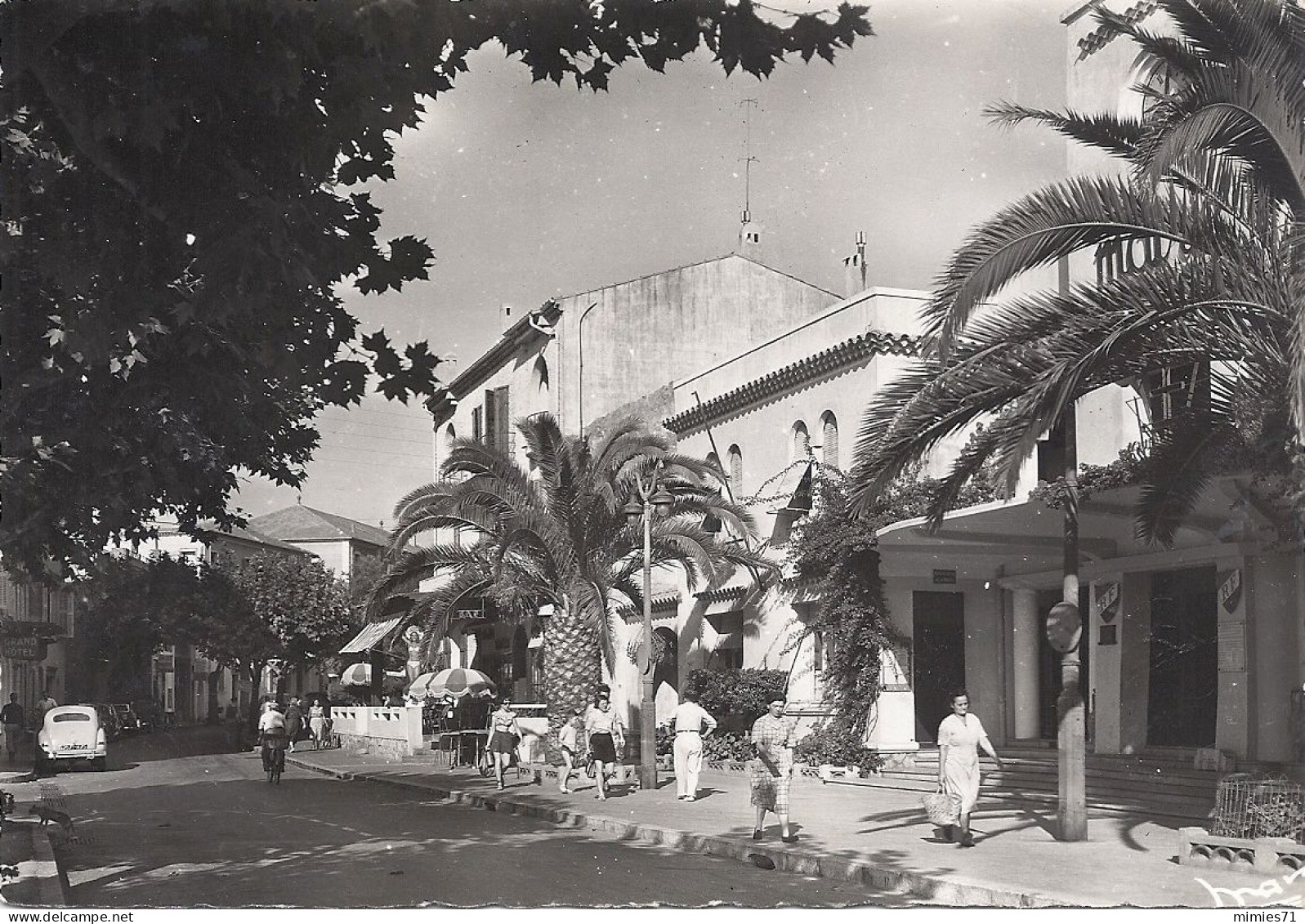 CPSM Place De La Mairie - Le Lavandou