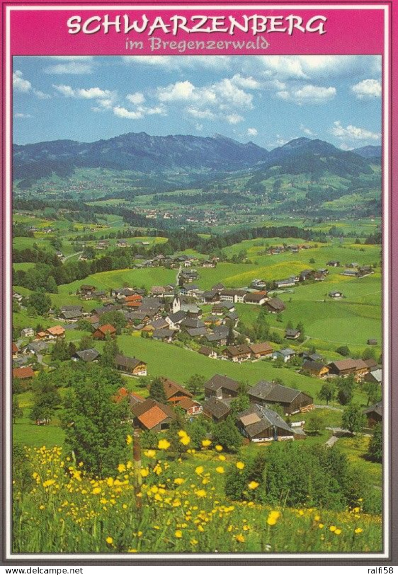 1 AK Österreich / Vorarlberg * Blick Auf Schwarzenberg Im Bregenzerwald - Luftbildansicht * - Bregenzerwaldorte