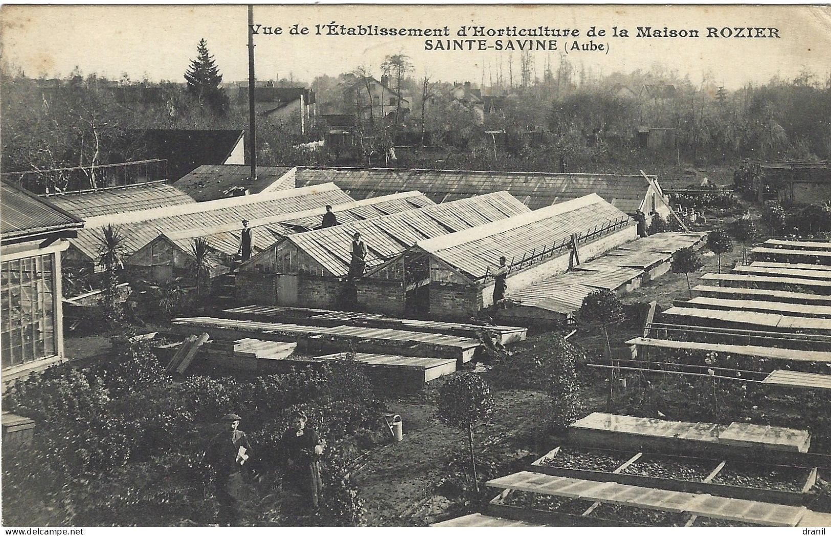 10 - Aube - SAINTE SAVINE - Vue De L'Etablissement D'Horticulture De La Maison ROZIER - Autres & Non Classés