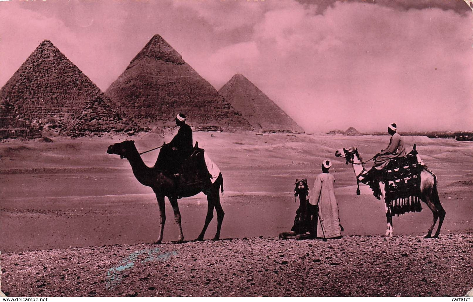LE CAIRE . Les Pyramides De Guizeh . CAIRO . - Sonstige & Ohne Zuordnung