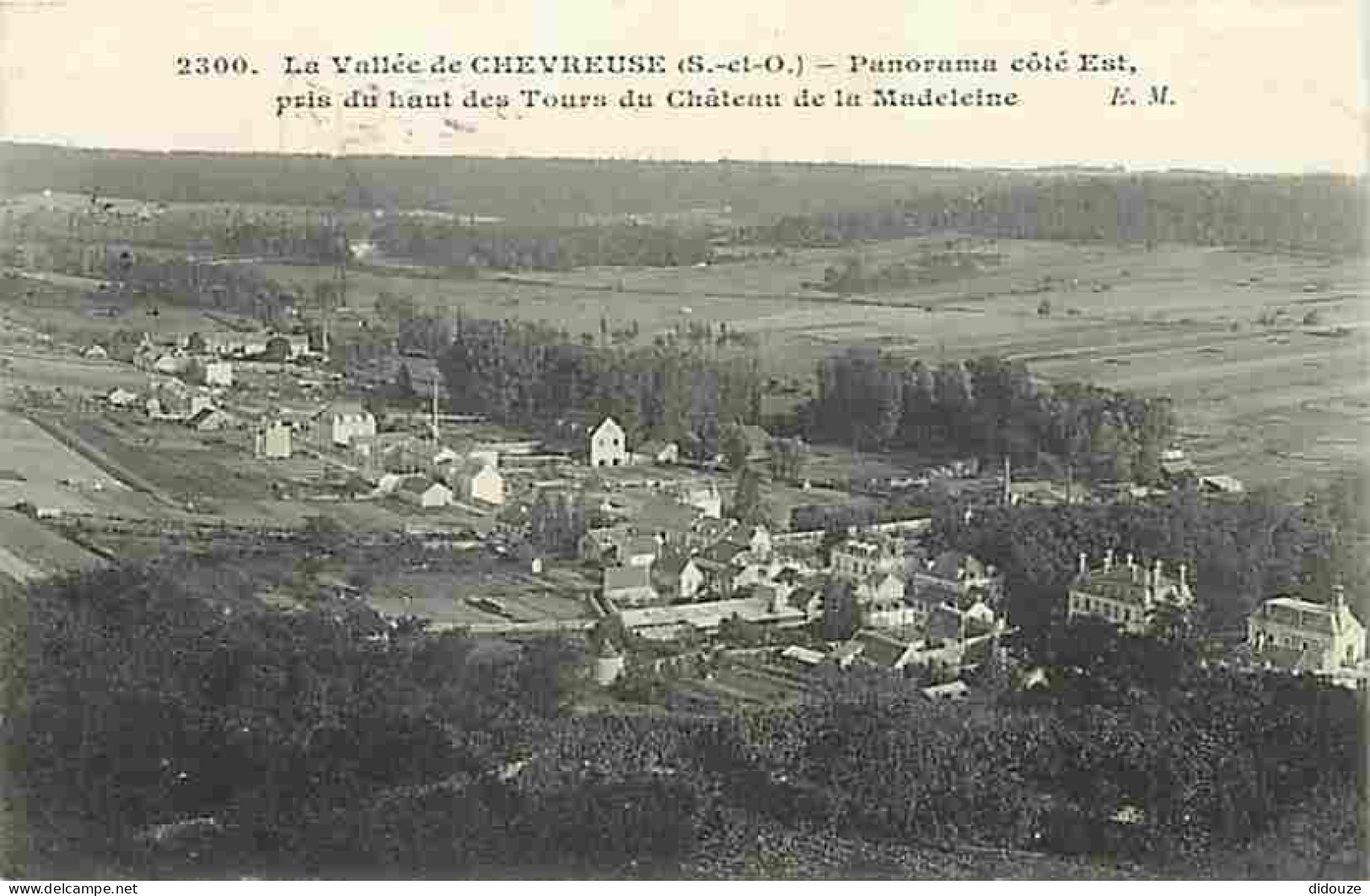 78 - Chevreuse - La Vallée De Chevreuse - Panorama Coté Est Pris Du Haut Des Tours Du Château De La Madeleine - CPA - Vo - Chevreuse