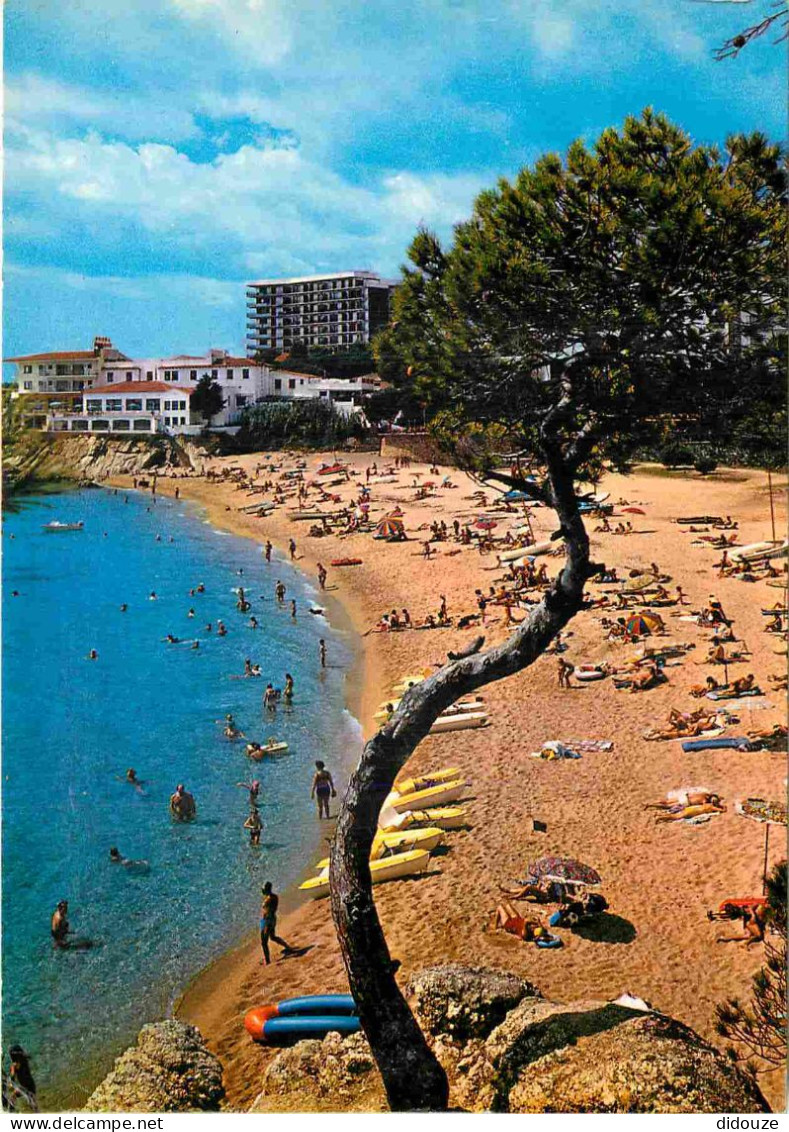 Espagne - Espana - Cataluna - Costa Brava - Playa De Aro - Playa - Plage - CPM - Voir Scans Recto-Verso - Gerona