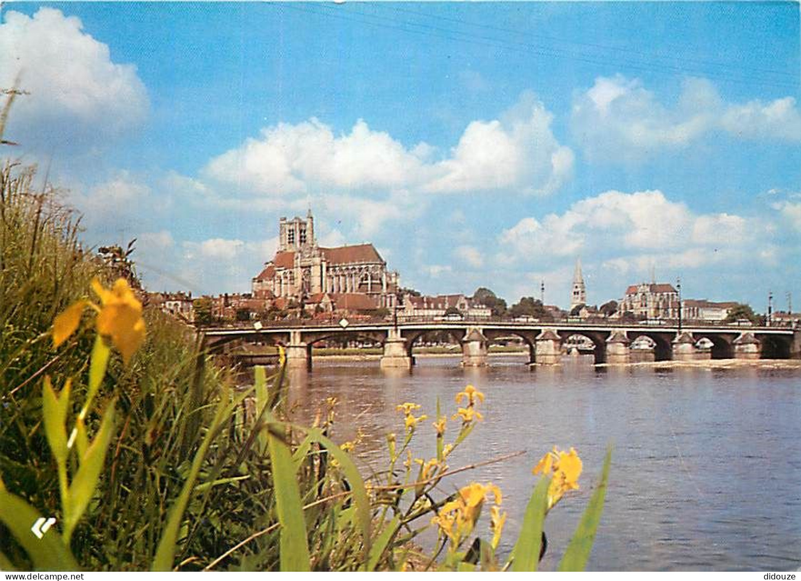 89 - Auxerre - Le Pont Sur L'Yonne Et Les Clochers - Au Centre La Cathédrale Saint-Etienne - Fleurs - Carte Neuve - CPM  - Auxerre