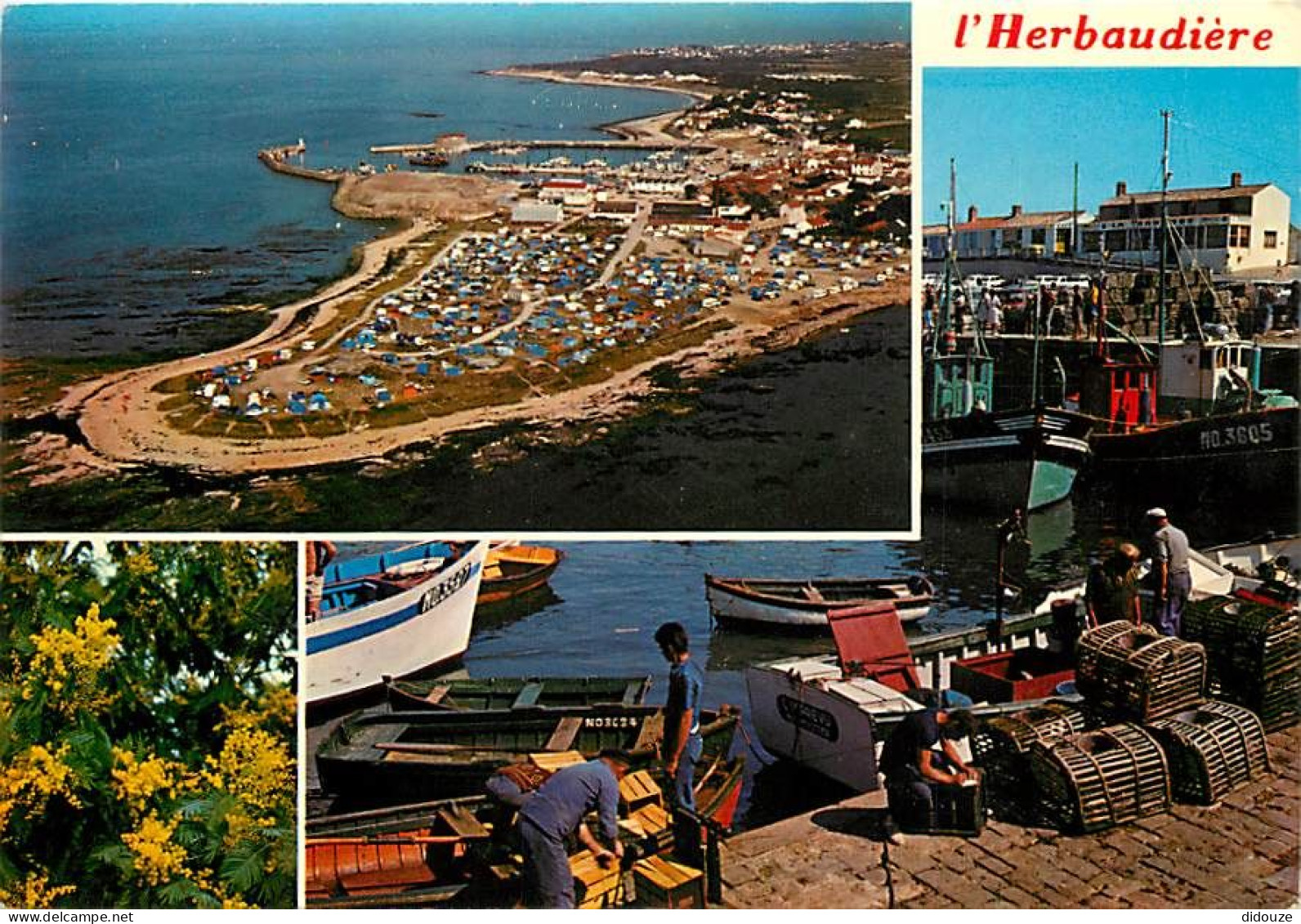 85 - Ile De Noirmoutier - L'Herbaudière - Multivues - Vue Aérienne - Casiers à Homards - CPM - Voir Scans Recto-Verso - Ile De Noirmoutier