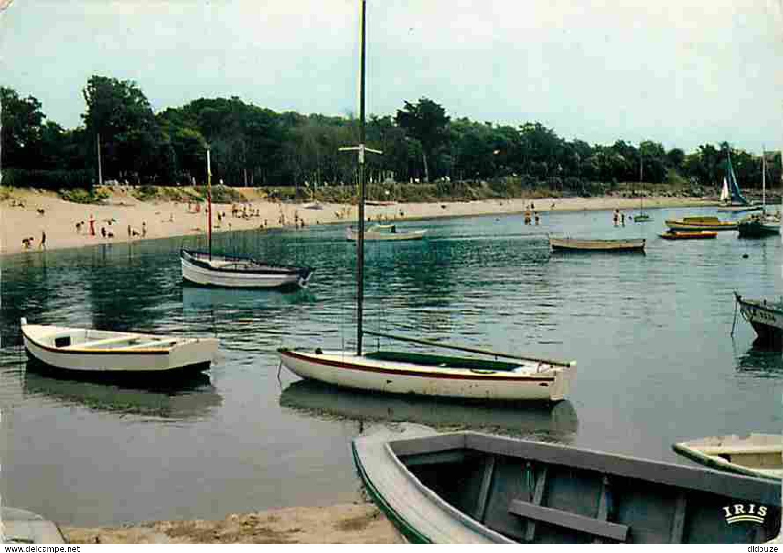 17 - Fouras - La Plage Sud - Flamme Postale - CPM - Voir Scans Recto-Verso - Fouras-les-Bains