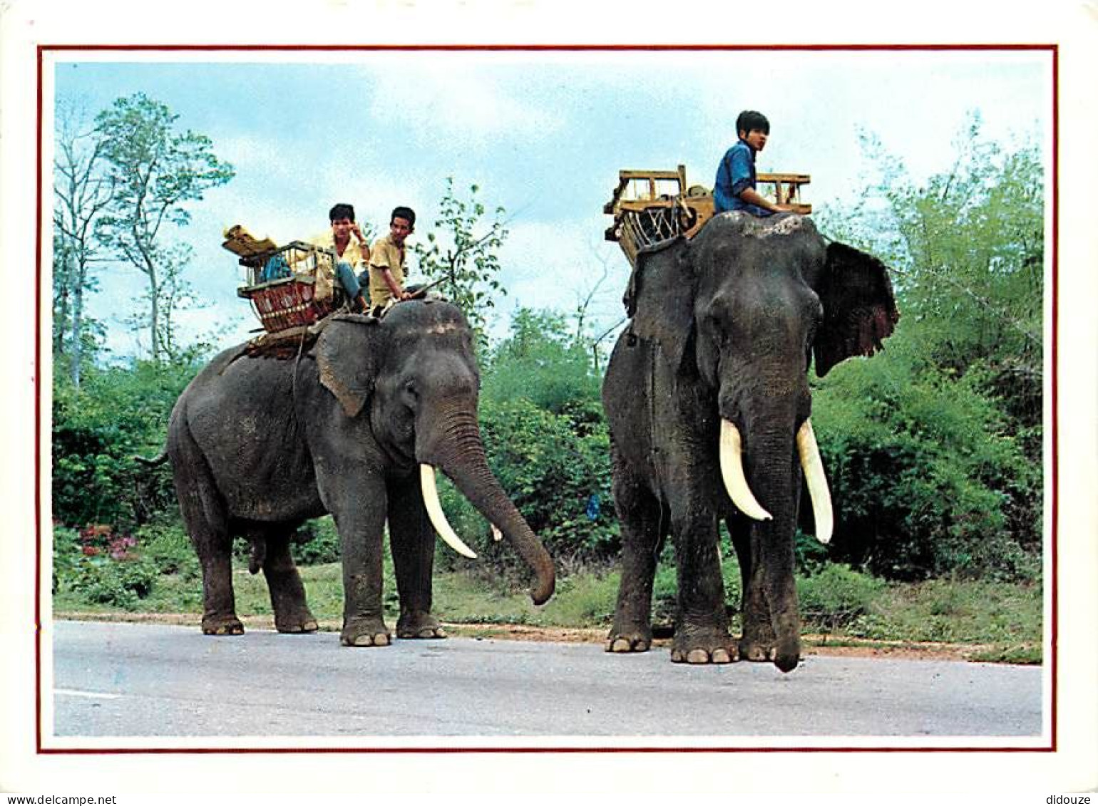 Animaux - Eléphants - Thailande - Thailand - Elephants Walking Slowly On The Road, Northern Thailand - CPM - Voir Scans  - Éléphants