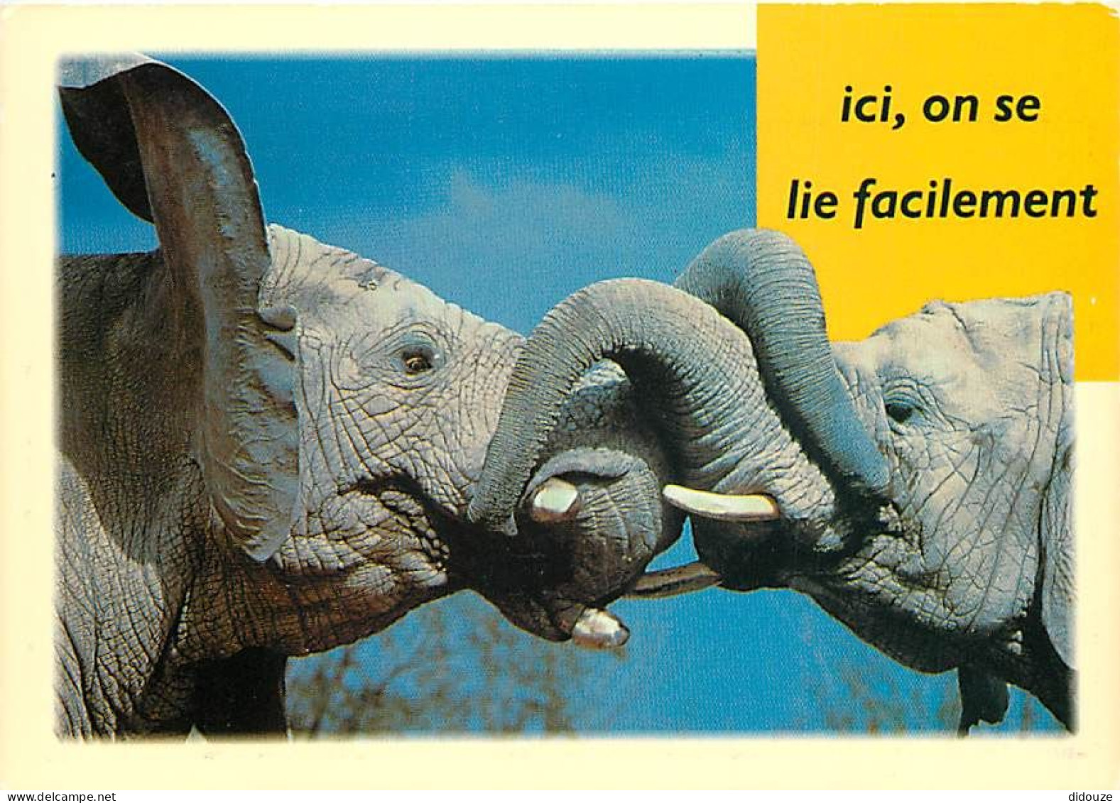 Animaux - Eléphants - Carte Humoristique - CPM - Voir Scans Recto-Verso - Elephants