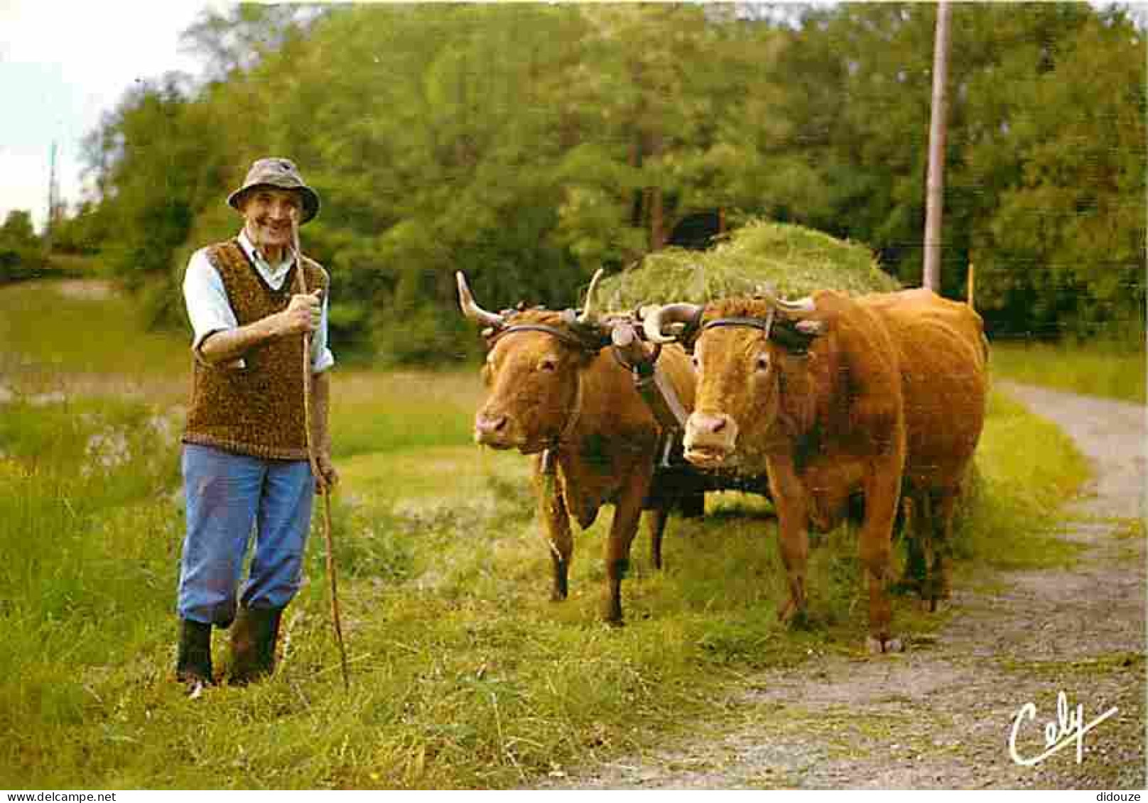 Animaux - Vaches - Scène Paysanne - Attelage - Paysans - Editeur Cely - Flamme Postale - CPM - Voir Scans Recto-Verso - Cows