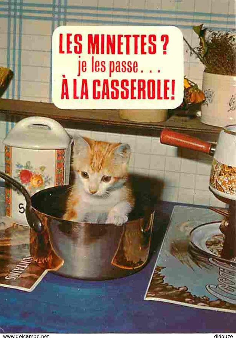 Animaux - Chats - Chatons - Carte Humoristique - Carte Neuve - CPM - Voir Scans Recto-Verso - Gatos