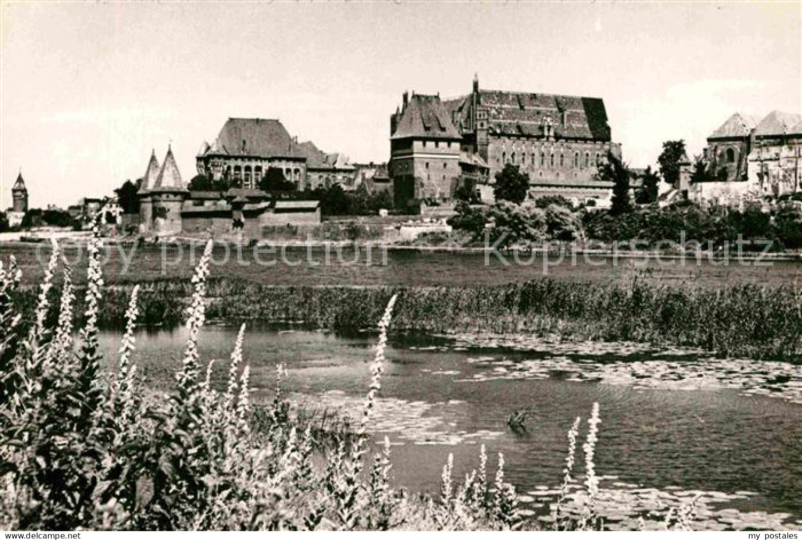 72791701 Malbork Zespol Zamku Pokrzyzackiego Od Strony Nogatu Malbork - Poland