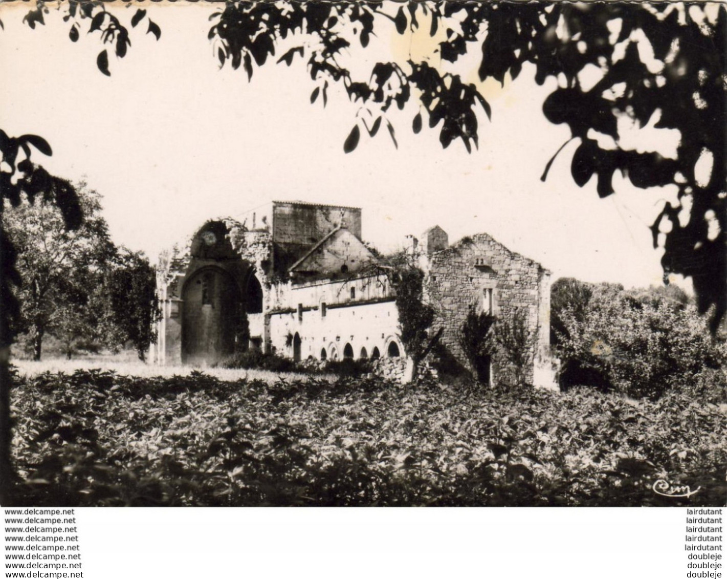 D24  VILLARS  Ruines De L'Abbaye Romane De Boschaud - Other & Unclassified