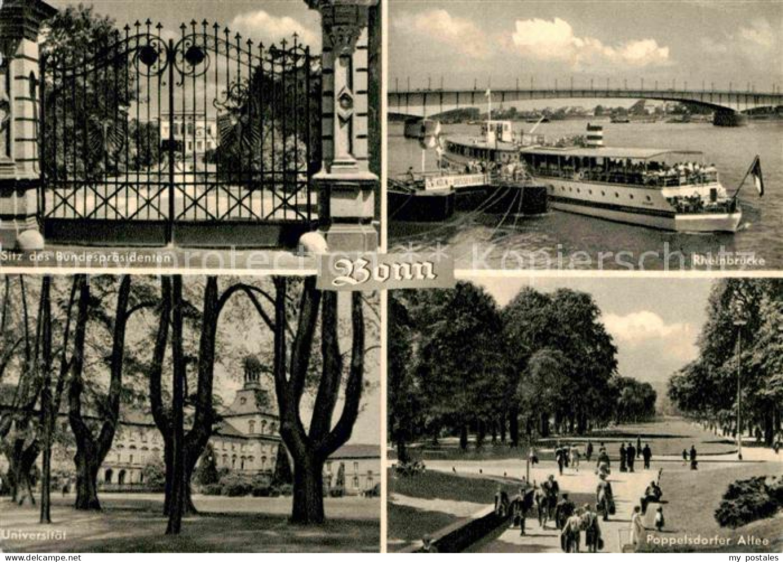 72791645 Bonn Rhein Rheinbruecke Sitz Des Bundespraesidenten Universitaet  Bonn - Bonn