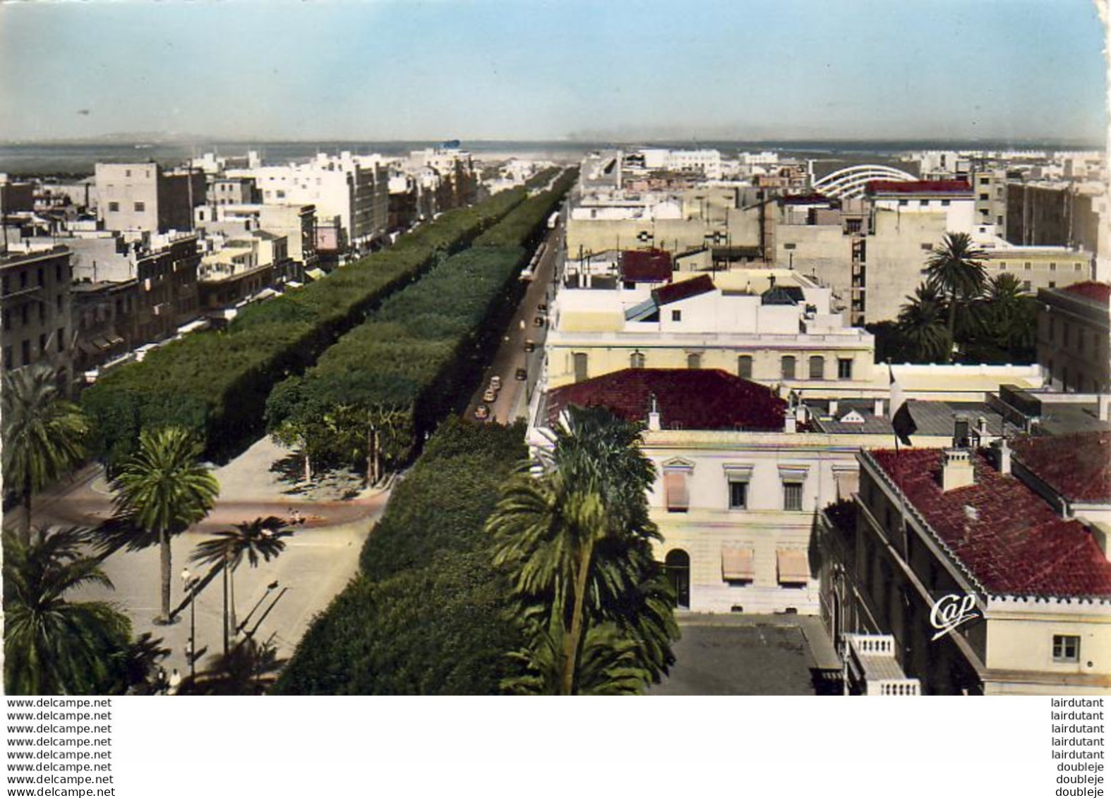 TUNISIE   TUNIS  L'Avenue Jules Ferry .. Au Premier Plan La Résidence - Tunisia