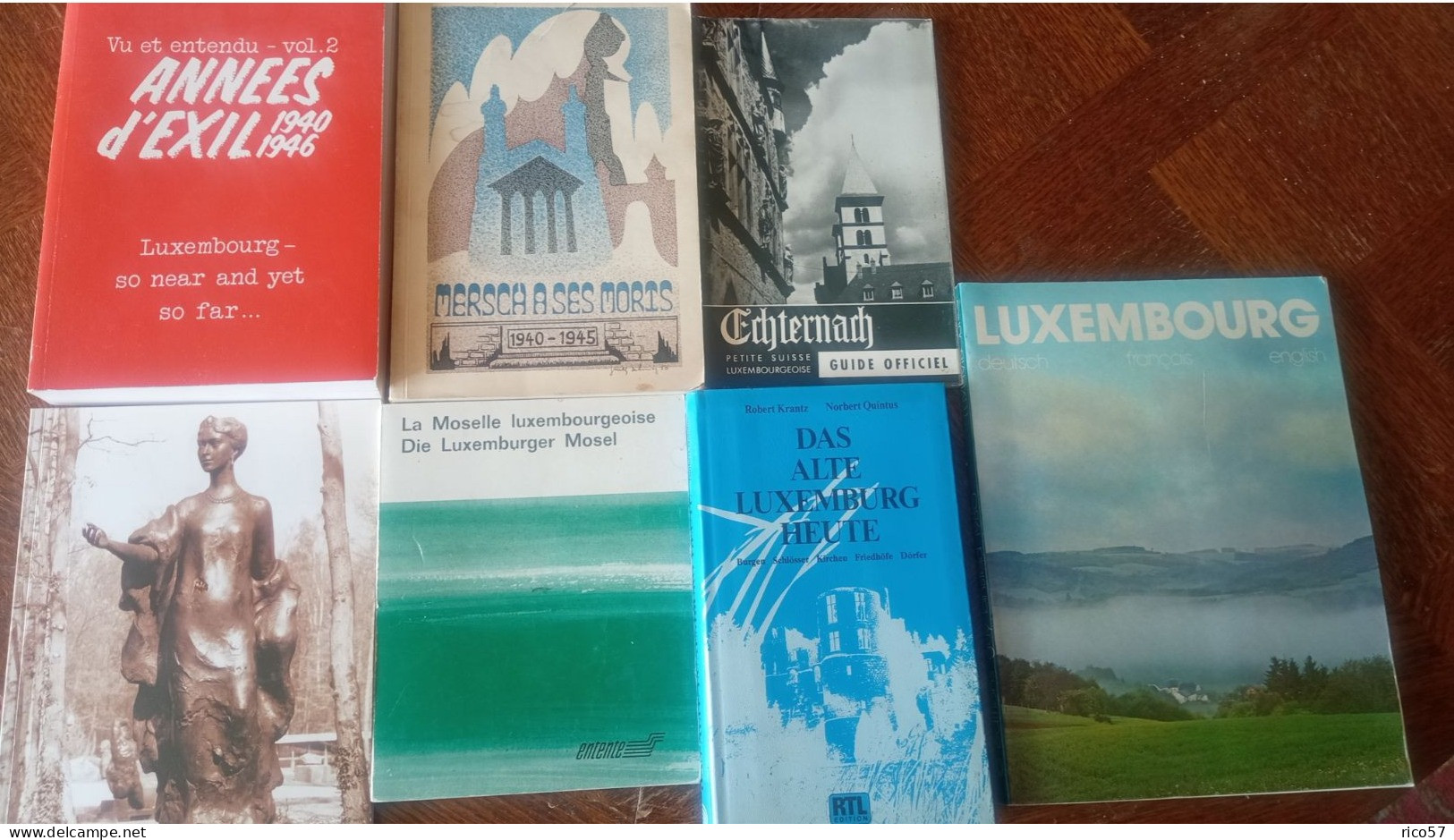 Lot Livres Sur Le Luxembourg - Other & Unclassified