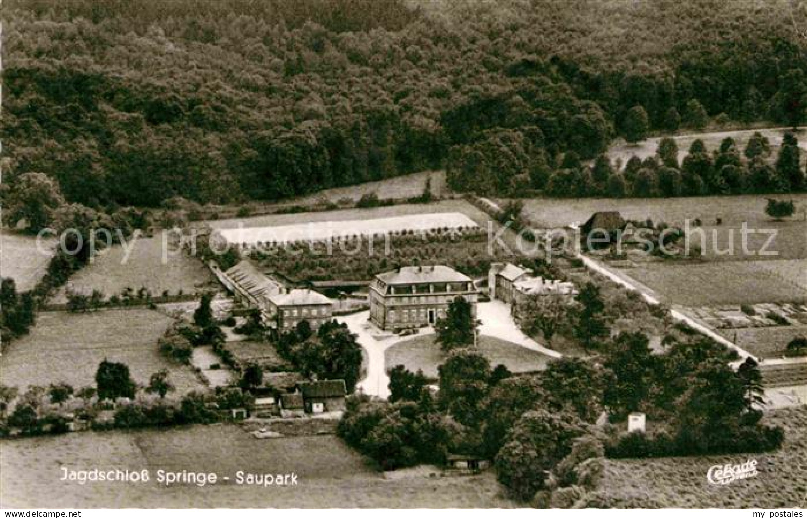 72791352 Springe Deister Fliegeraufnahme Jagdschloss Saupark Springe - Sonstige & Ohne Zuordnung