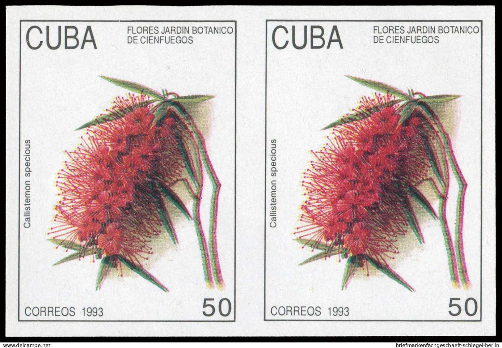 Cuba, 1993, 3693-98 U (2), Ohne Gummi - Cuba