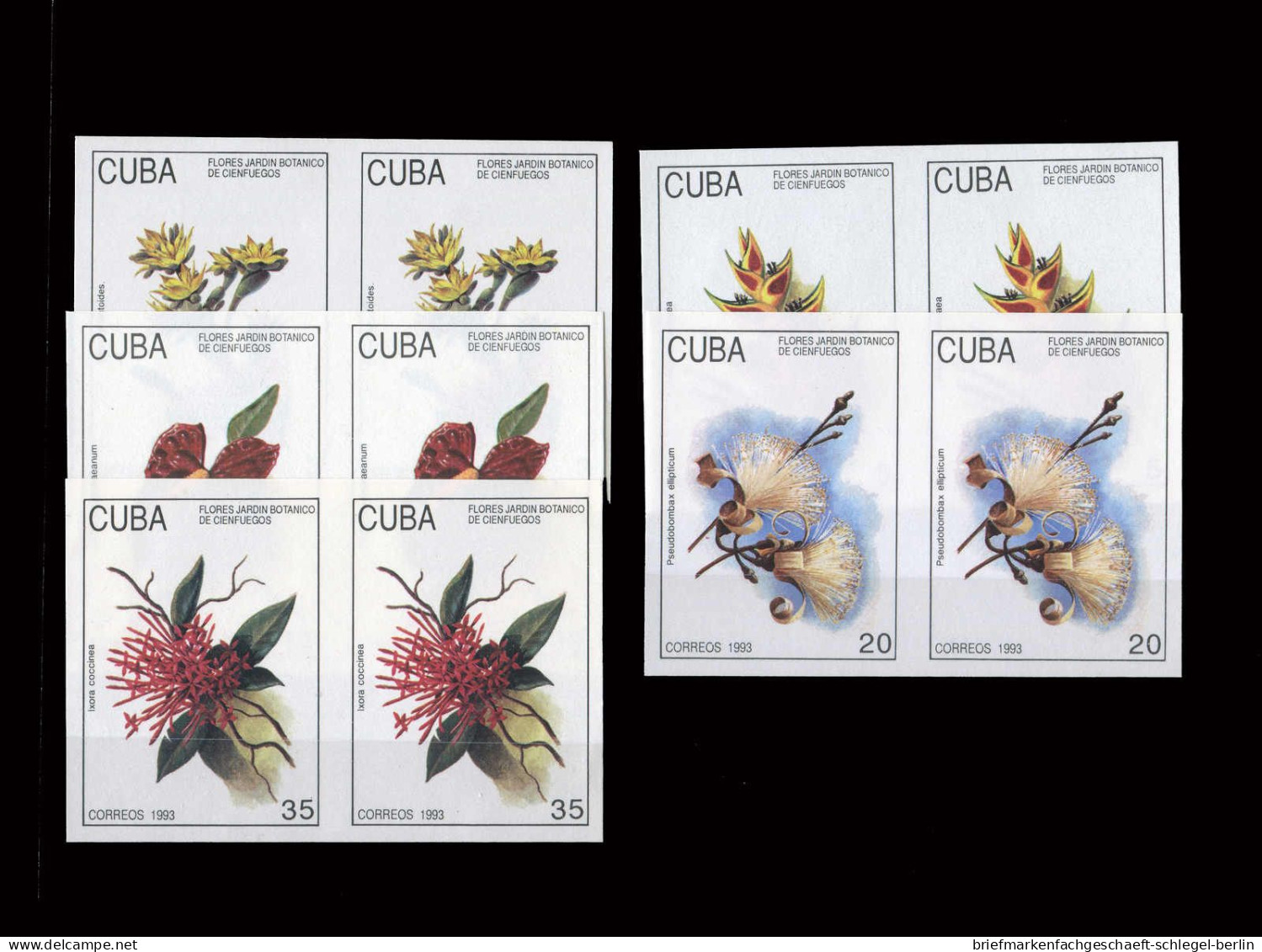 Cuba, 1993, 3693-98 U (2), Ohne Gummi - Kuba