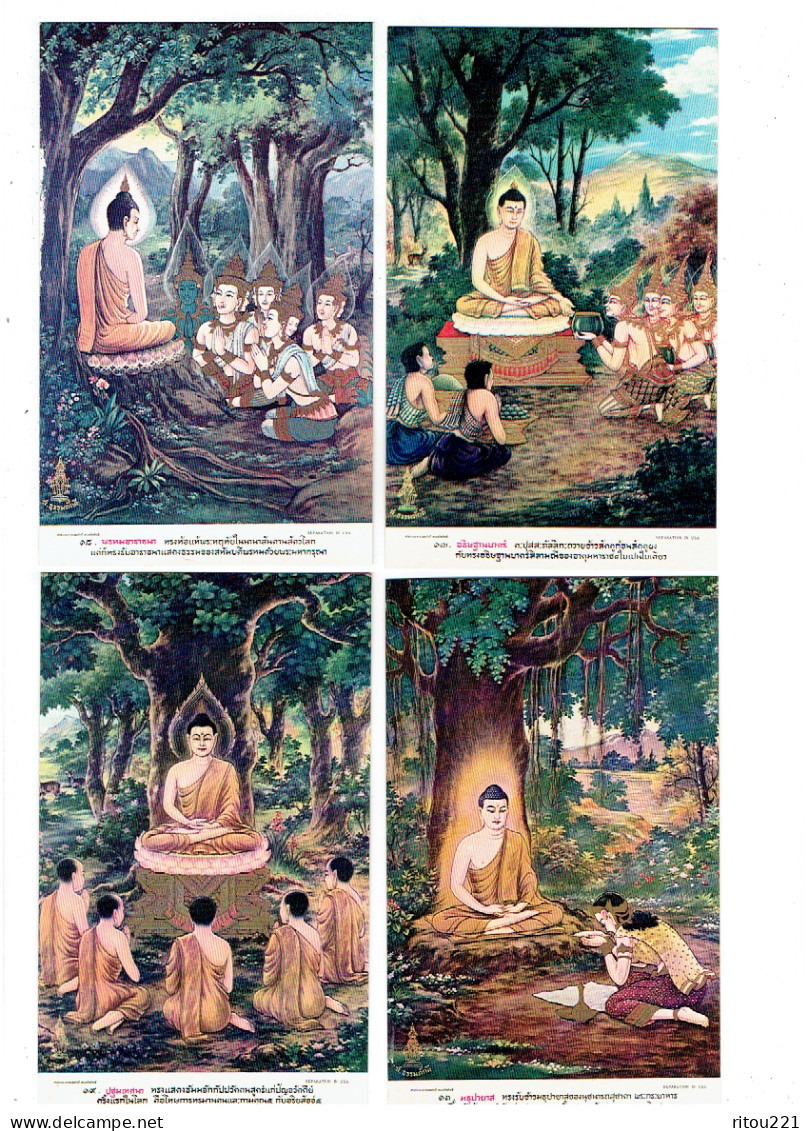 LOT 5 Cpa - THAILAND -- Buddha Life - Animation - Arbre BICHE  Fleur - Buddismo