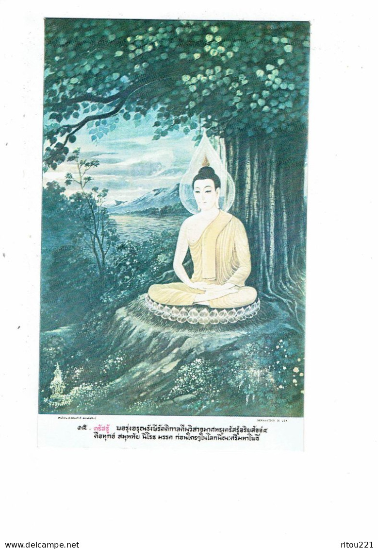 LOT 5 Cpa - THAILAND -- Buddha Life - Animation - Arbre BICHE  Fleur - Buddhismus