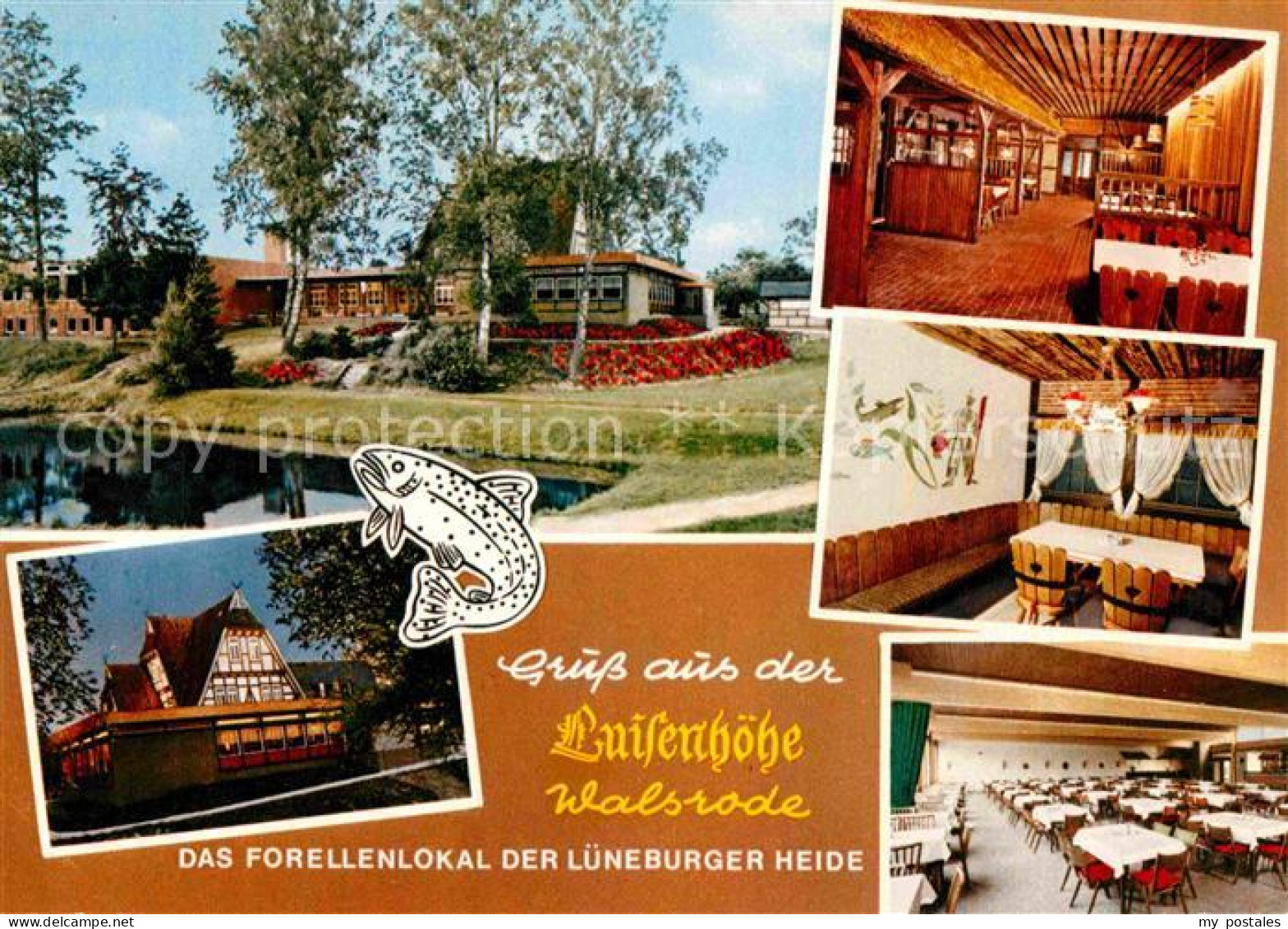 72790608 Walsrode Lueneburger Heide Restaurant Luisenhoehe Walsrode Lueneburger  - Walsrode