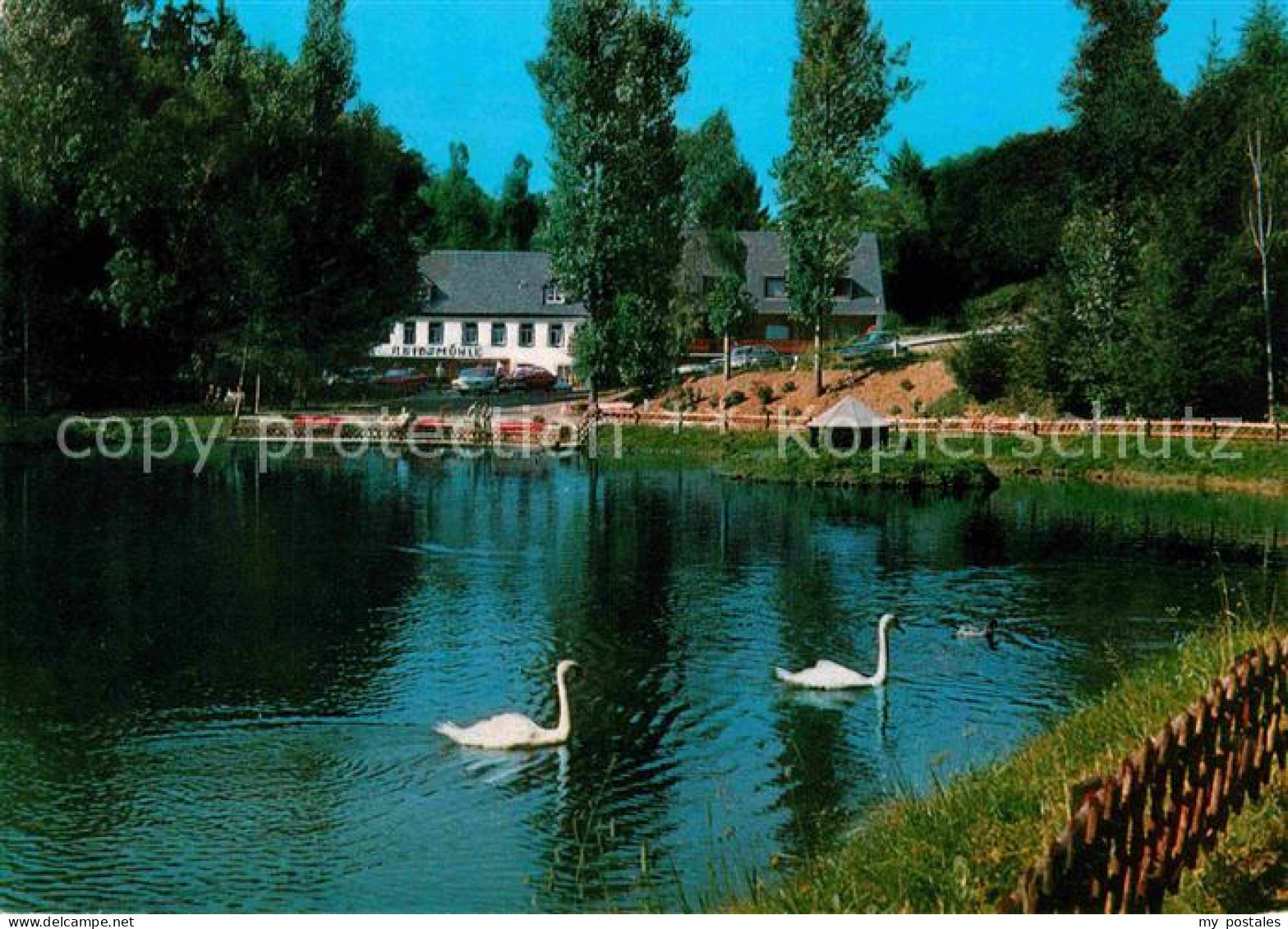 72790583 Manderscheid Eifel Hotel Cafe Heidsmuehle Schwaene Manderscheid - Manderscheid