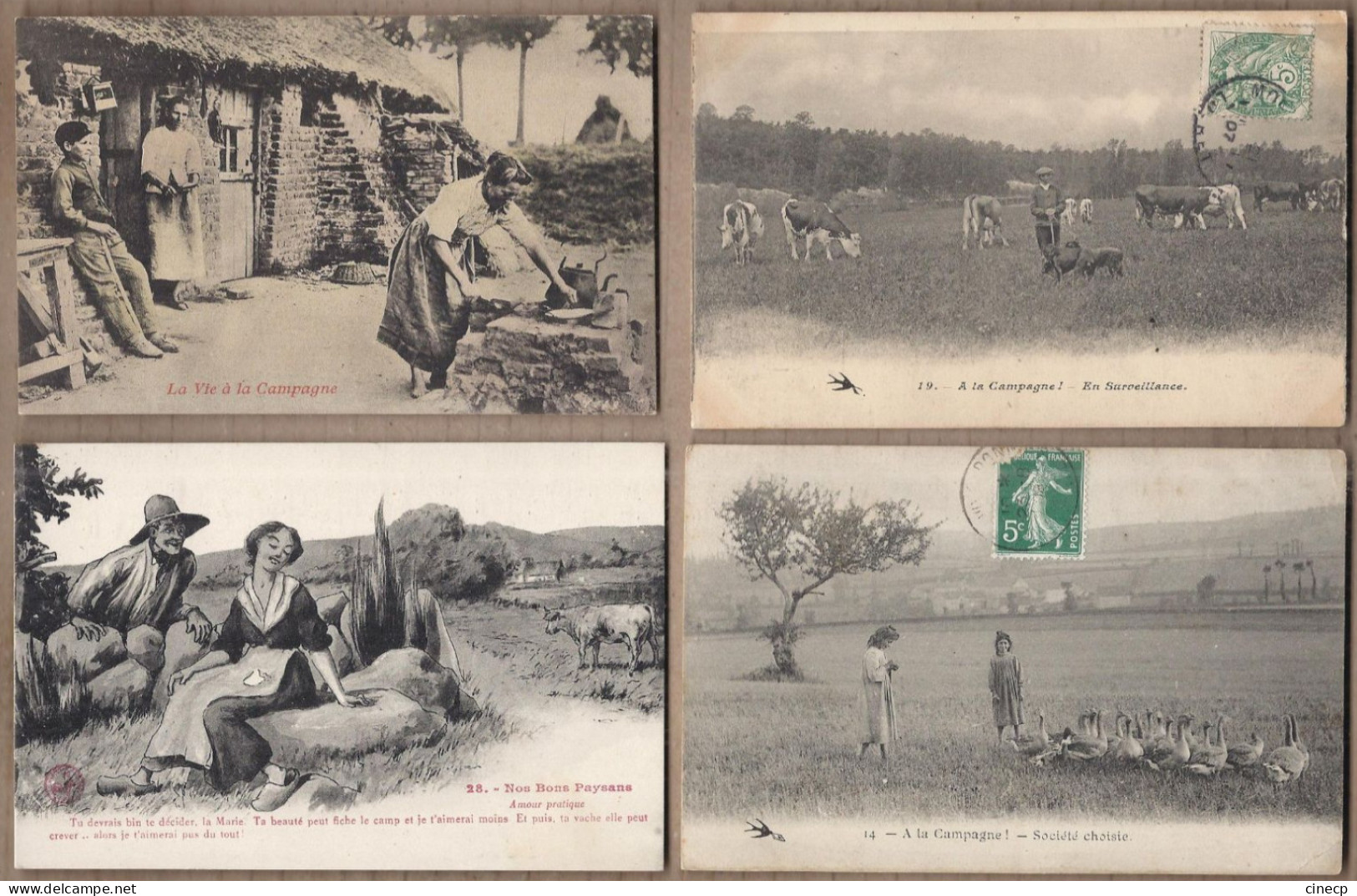 LOT 20 CPA AGRICULTURE ANIMATIONS CULTURES ELEVAGE FERMES VACHES TROUPEAUX DESSINS PAYSANS - Other & Unclassified