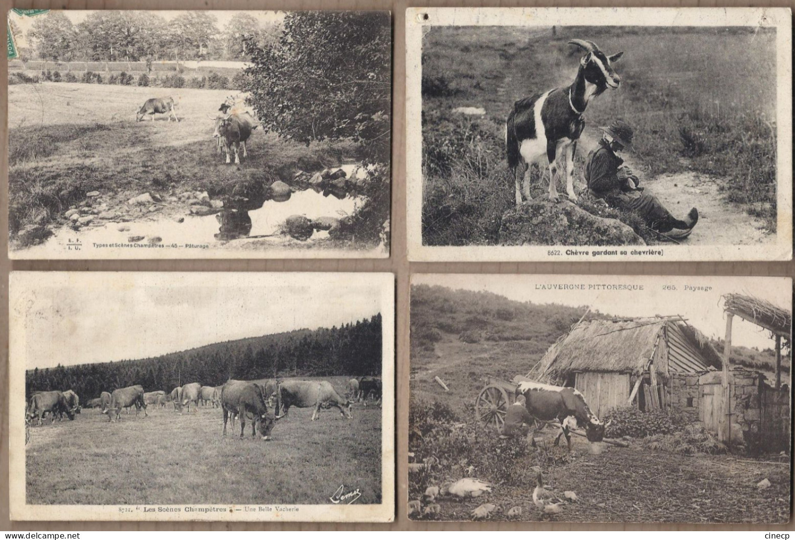 LOT 20 CPA AGRICULTURE ANIMATIONS CULTURES ELEVAGE FERMES VACHES TROUPEAUX DESSINS PAYSANS - Sonstige & Ohne Zuordnung