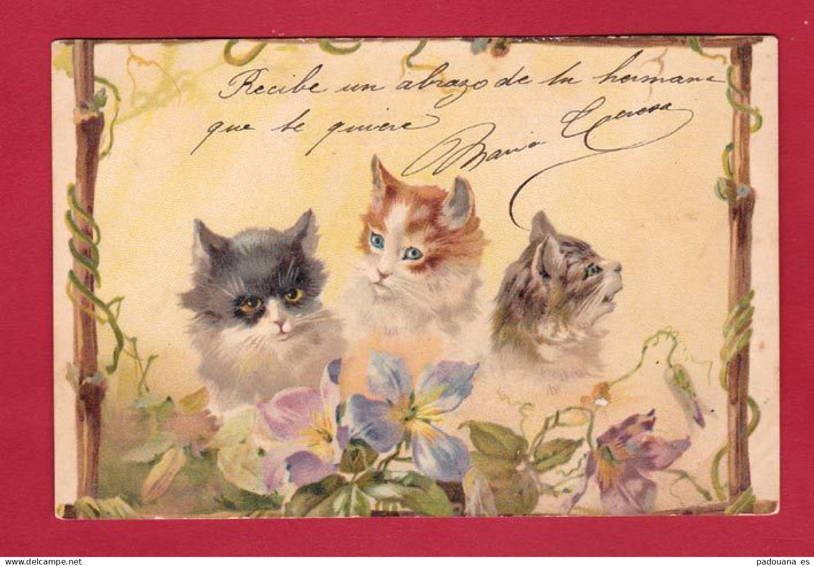AB988 FANTAISIES ANIMAUX CHAT CHATS CHATONS ET CLEMATITES FLEURS - Cats