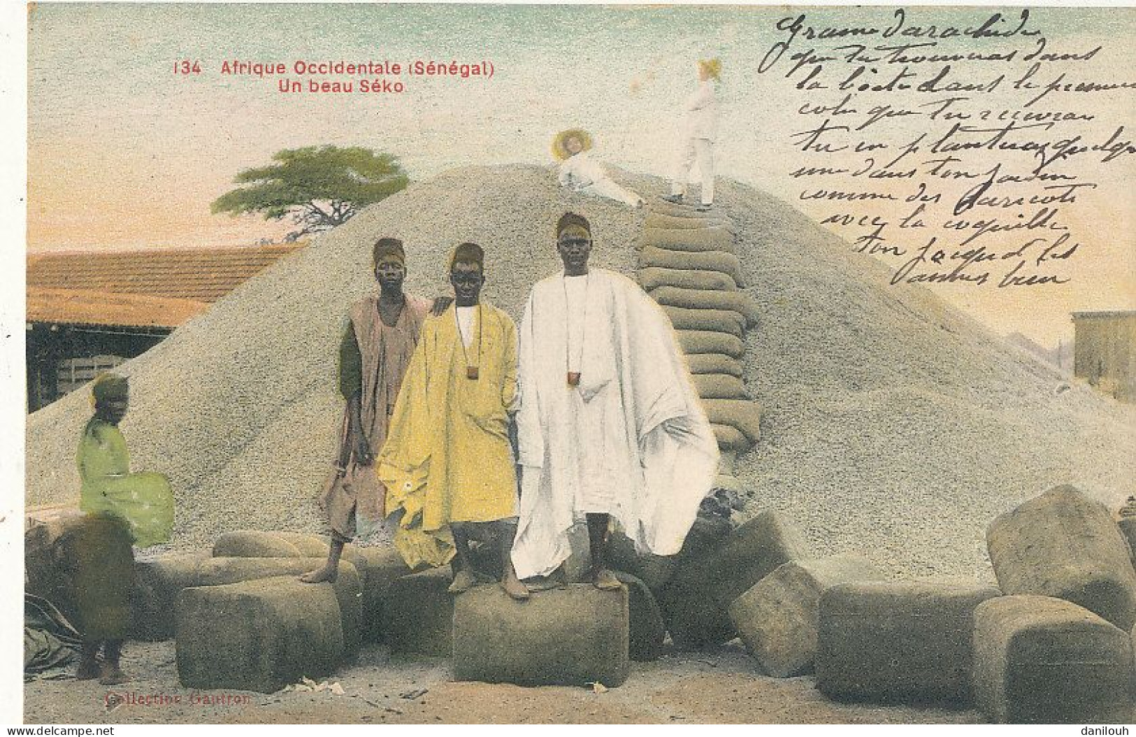 SENEGAL / Un Beau Seko 134   Coll Gautron - Sénégal