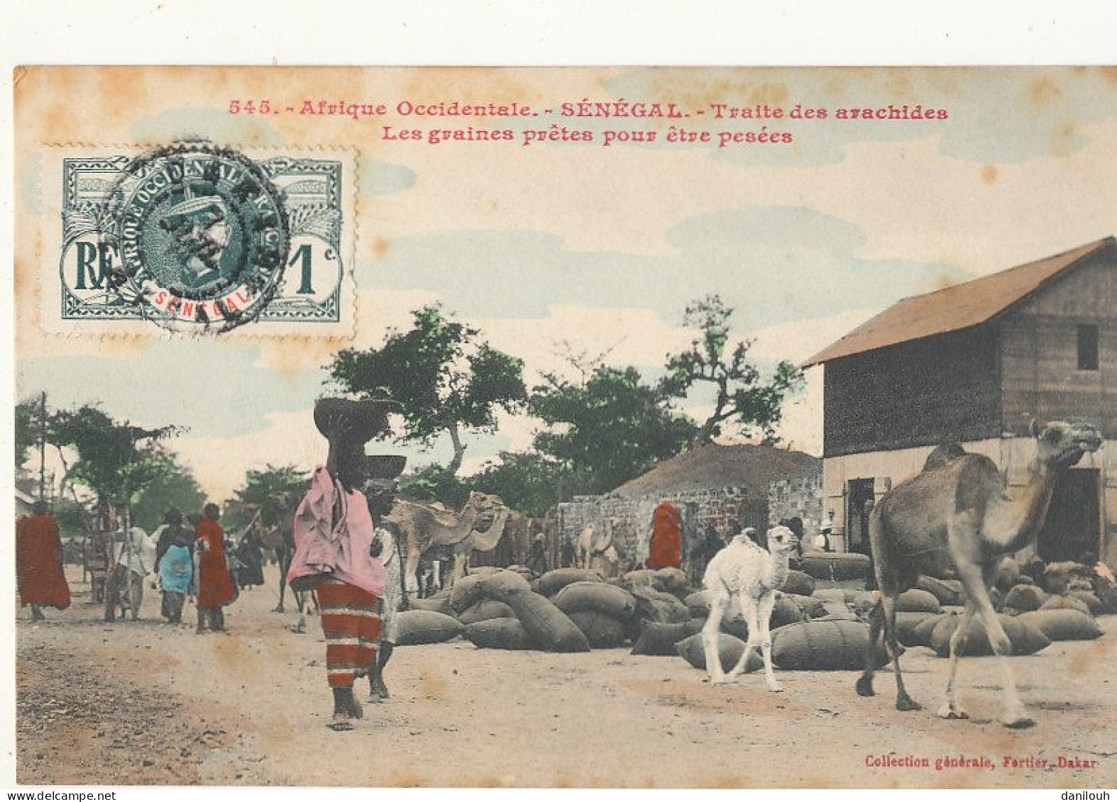 SENEGAL / Traite Des Arachides - Les Graines Prêtes Pour être Pesées  545  Edit FORTIER - Sénégal