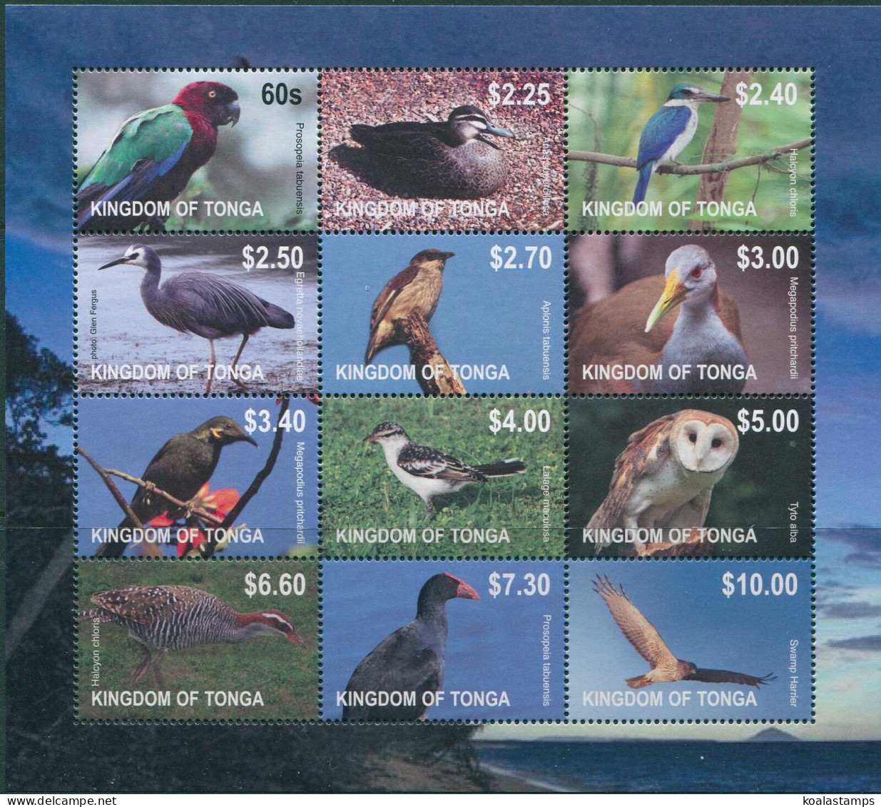 Tonga 2012 SG1636 Birds MS MNH - Tonga (1970-...)