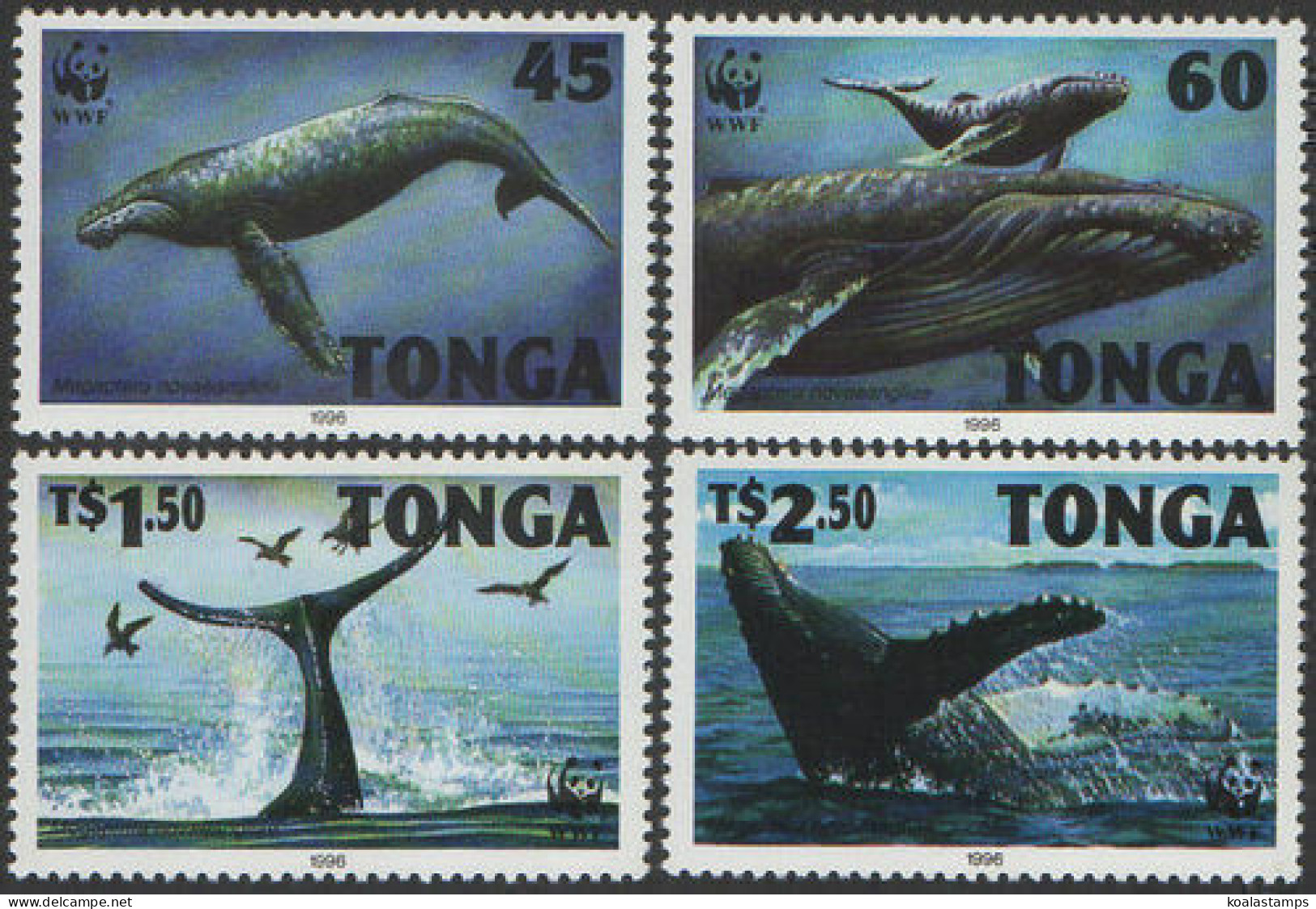 Tonga 1996 SG1337-1340 Whales Endangered Species Set MNH - Tonga (1970-...)