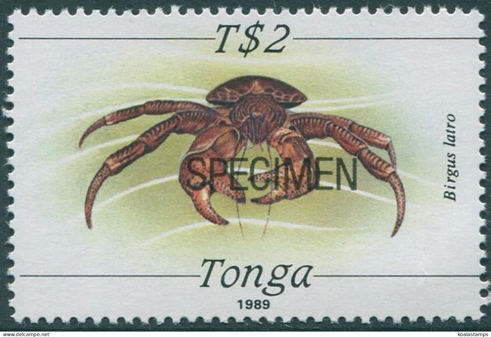 Tonga 1988 SG1015 2p Crab Specimen MNH - Tonga (1970-...)