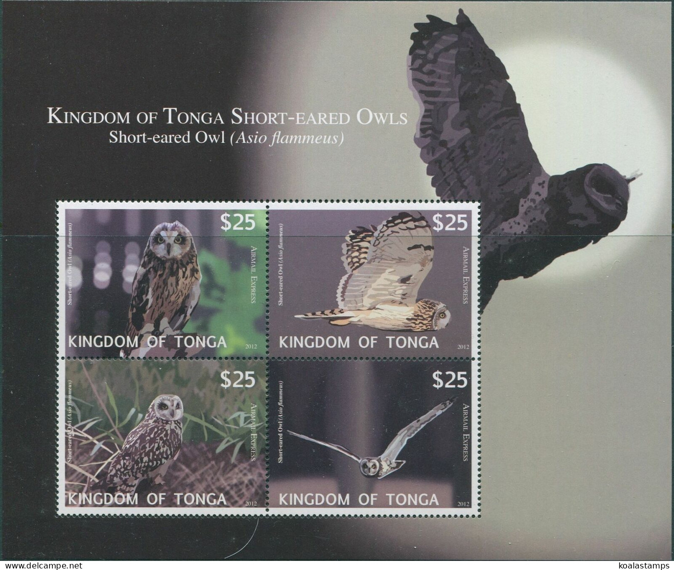 Tonga Express 2012 SGE6 Barn Owl MS MNH - Tonga (1970-...)