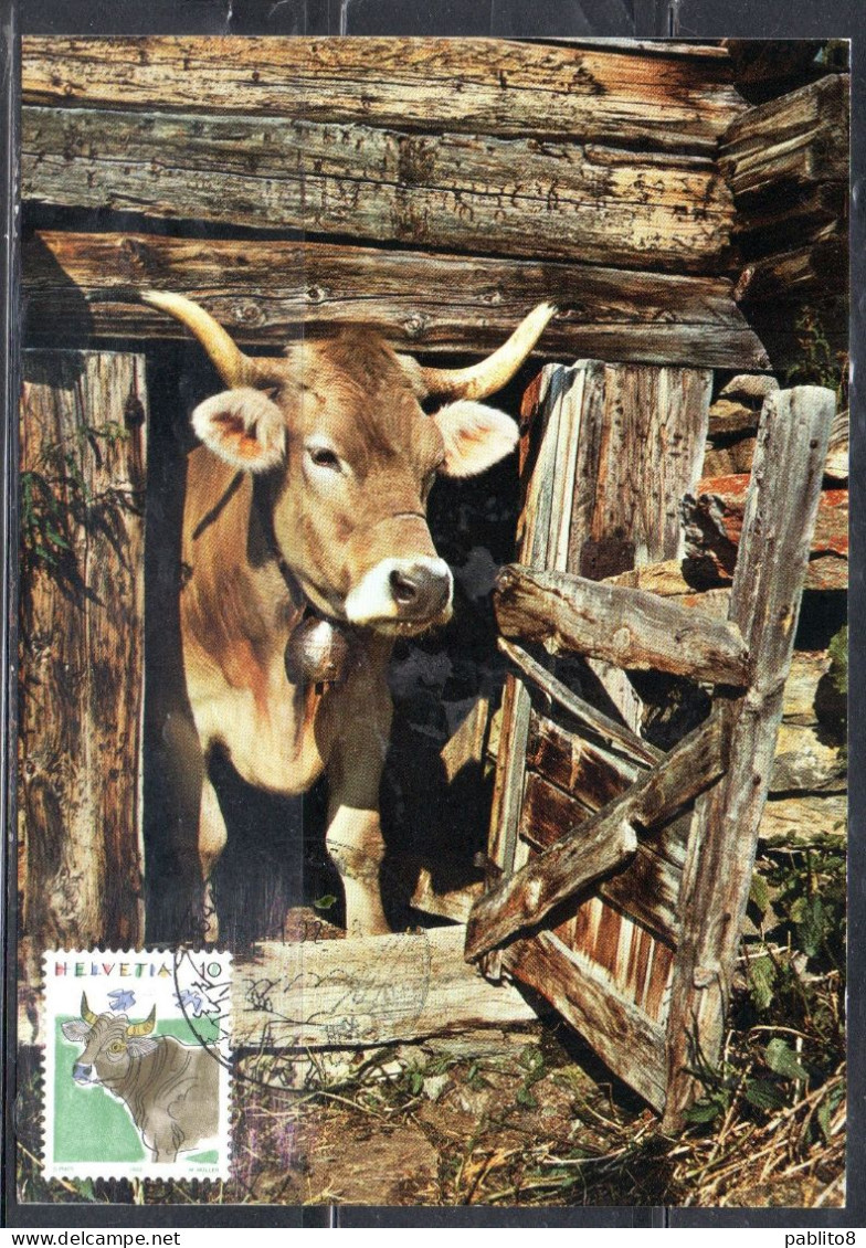 SWITZERLAND SUISSE SCHWEIZ SVIZZERA HELVETIA 1990 FAUNA ANIMALS COW 10c MAXI MAXIMUM CARD CARTE - Maximumkarten (MC)